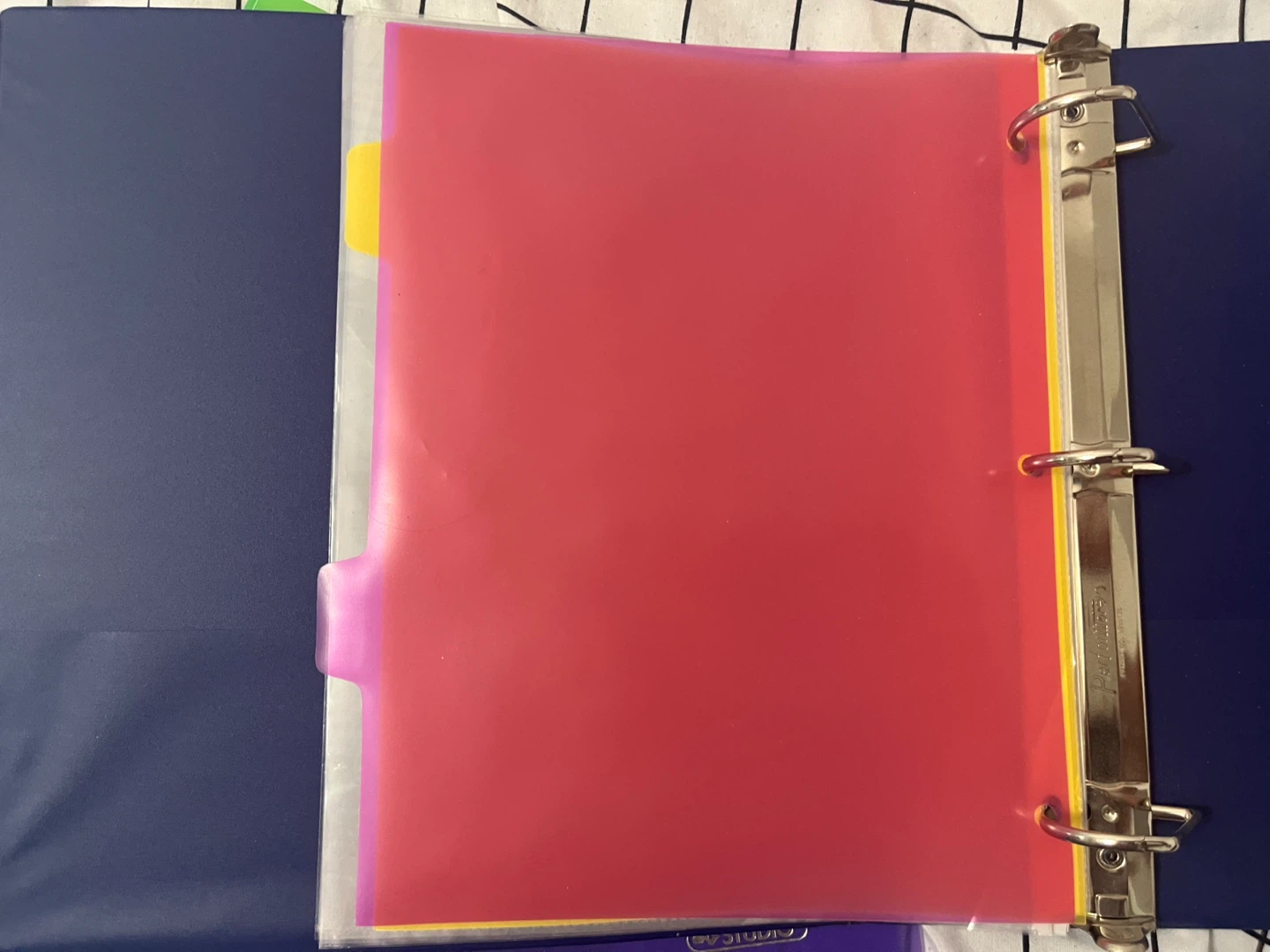 Set of 3-Ring Binders with vinyls - photo 4