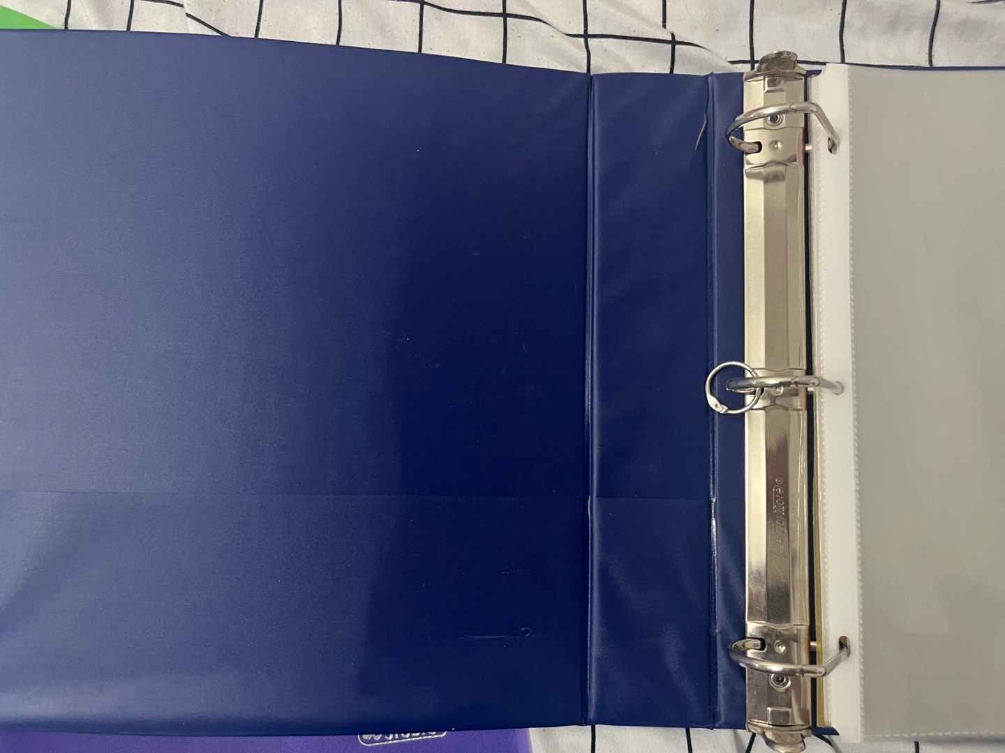 Set of 3-Ring Binders with vinyls - photo 5
