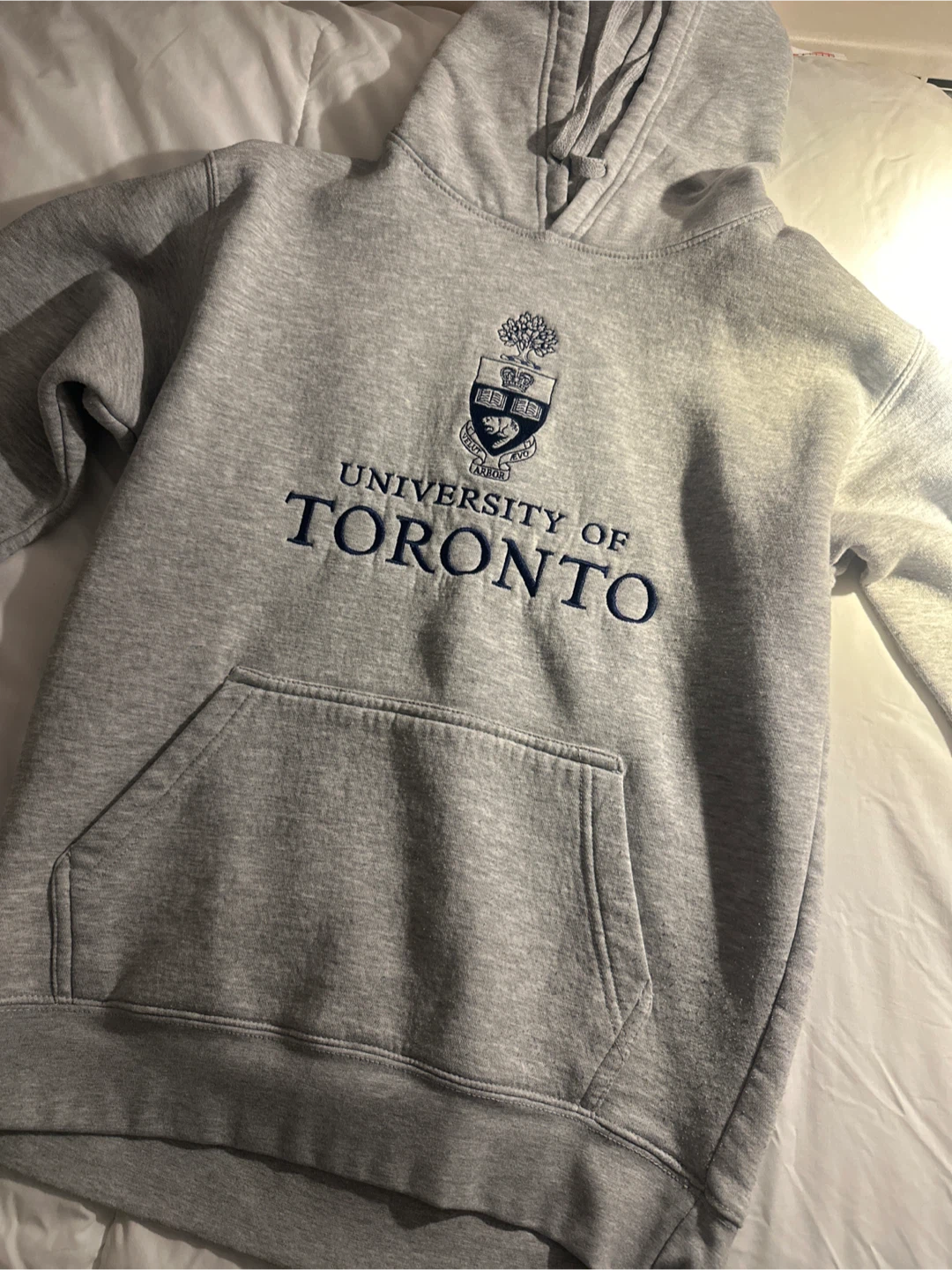 Grey University of Toronto Hoodie