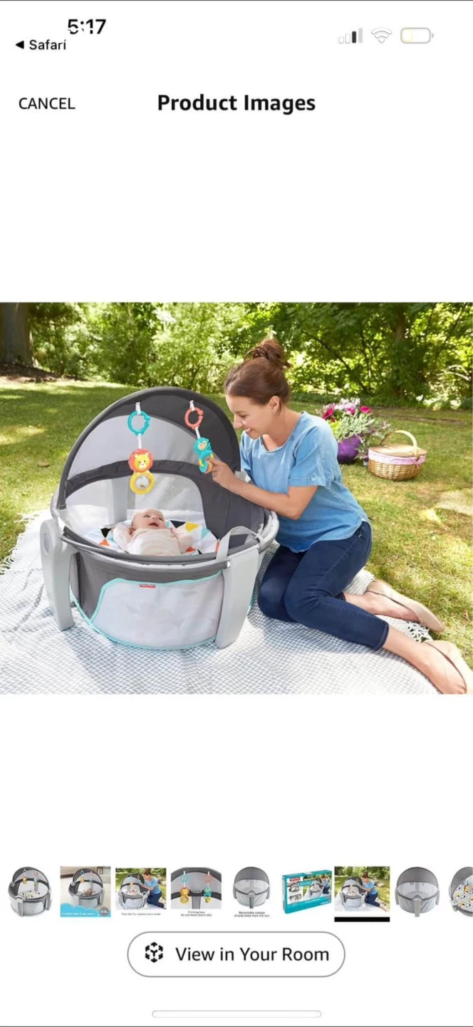 Fisher-Price On-The-Go Baby Dome - photo 2