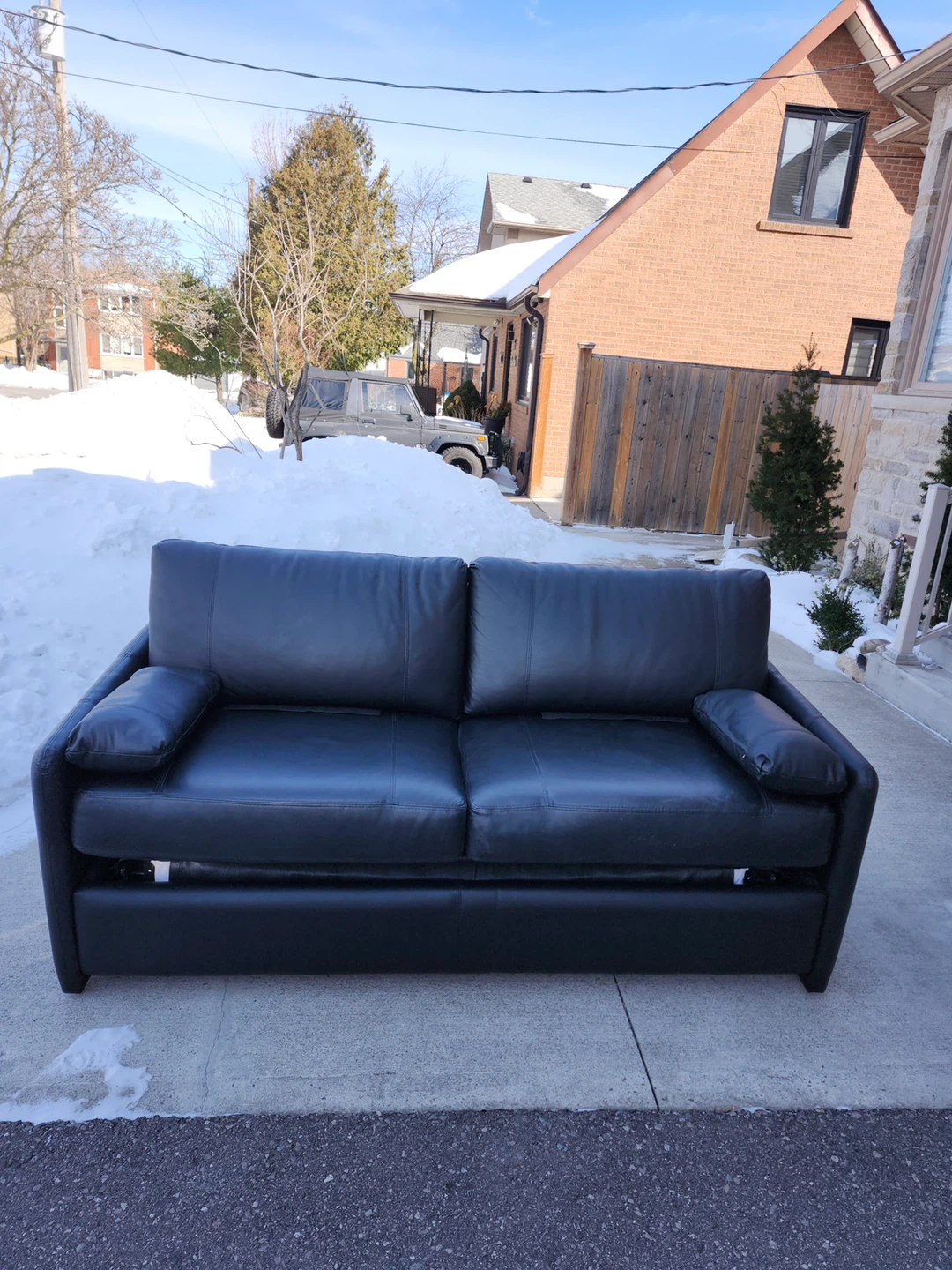 BLACK LEATHER SOFA BED