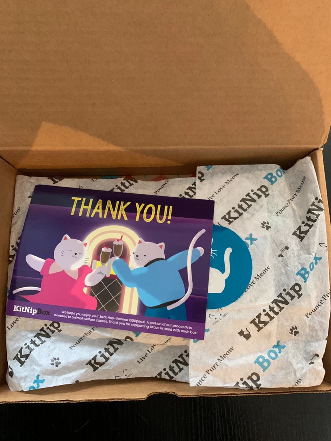 ‼️MOVING SALE THIS MONTH‼️KitNipBox Sock Hop Themed Cat Toys