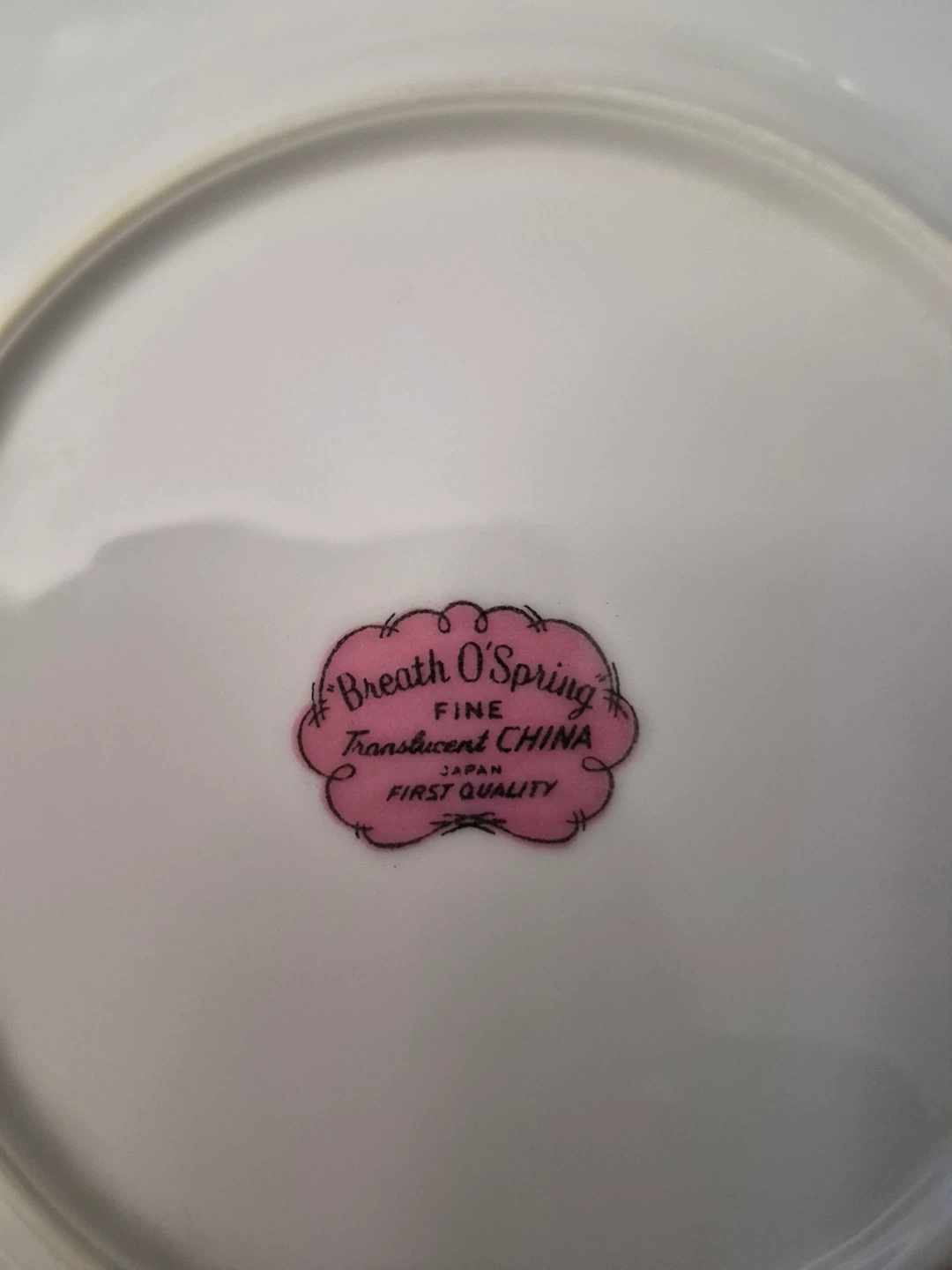 BREATH O’SPRING DISH SET - photo 3