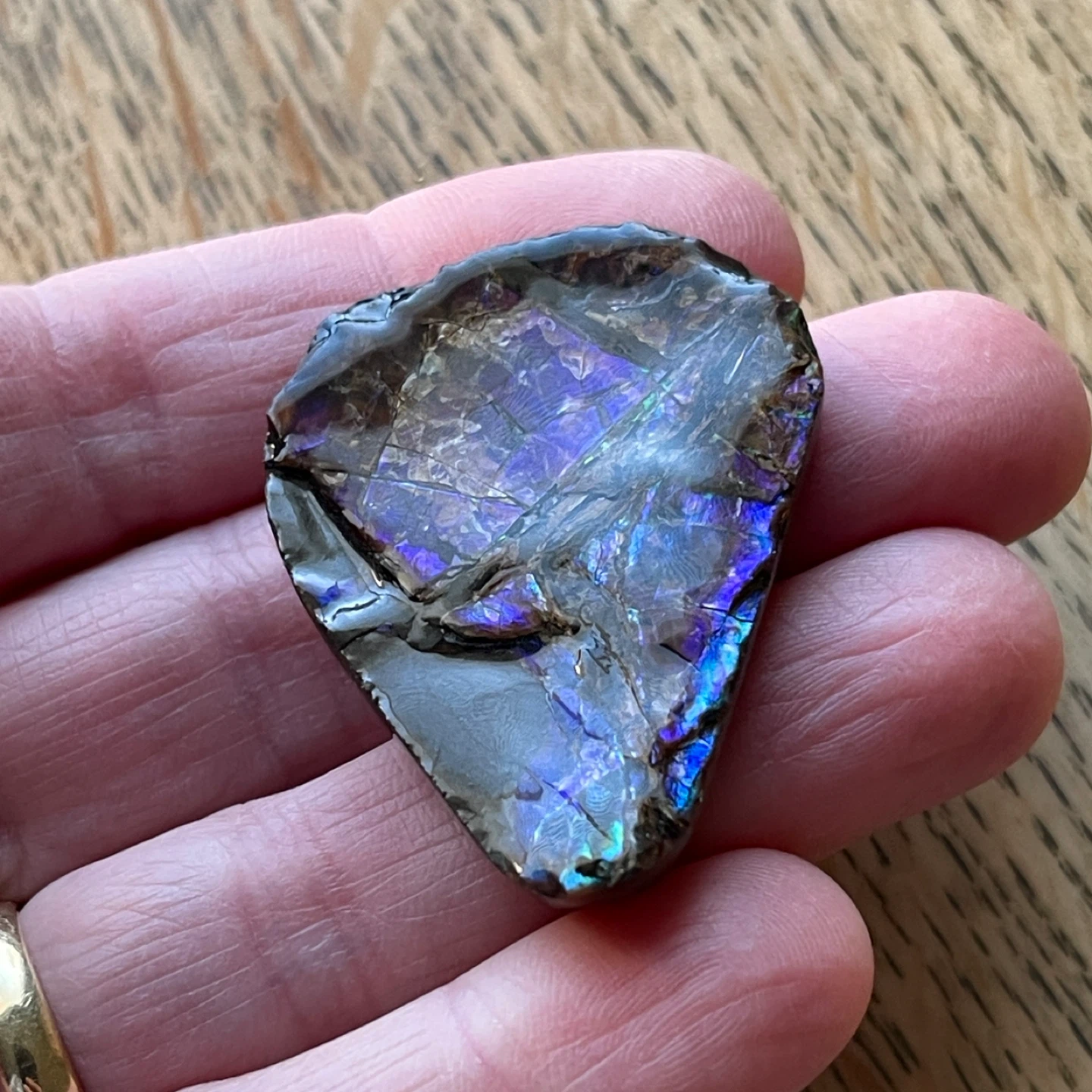 Rare blue/violet Ammolite specimen from Alberta - photo 4
