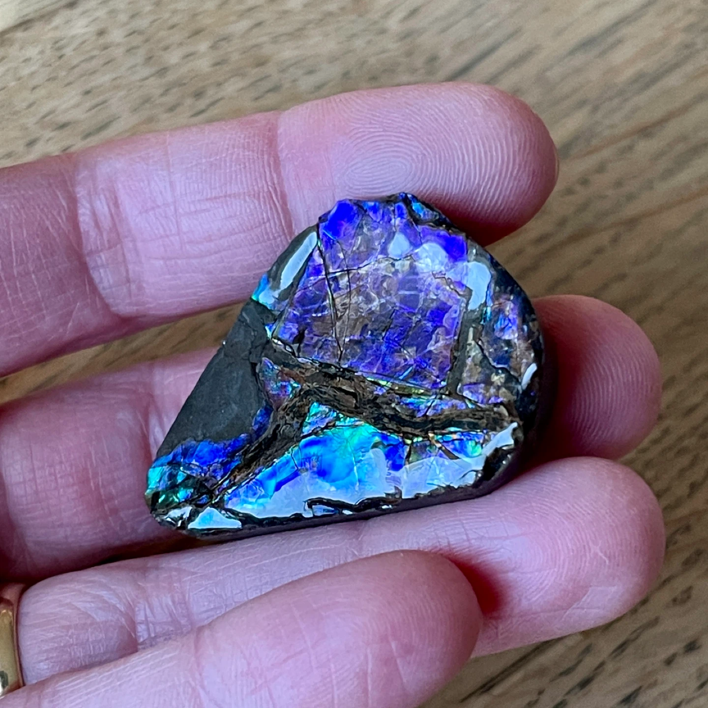Rare blue/violet Ammolite specimen from Alberta - photo 2
