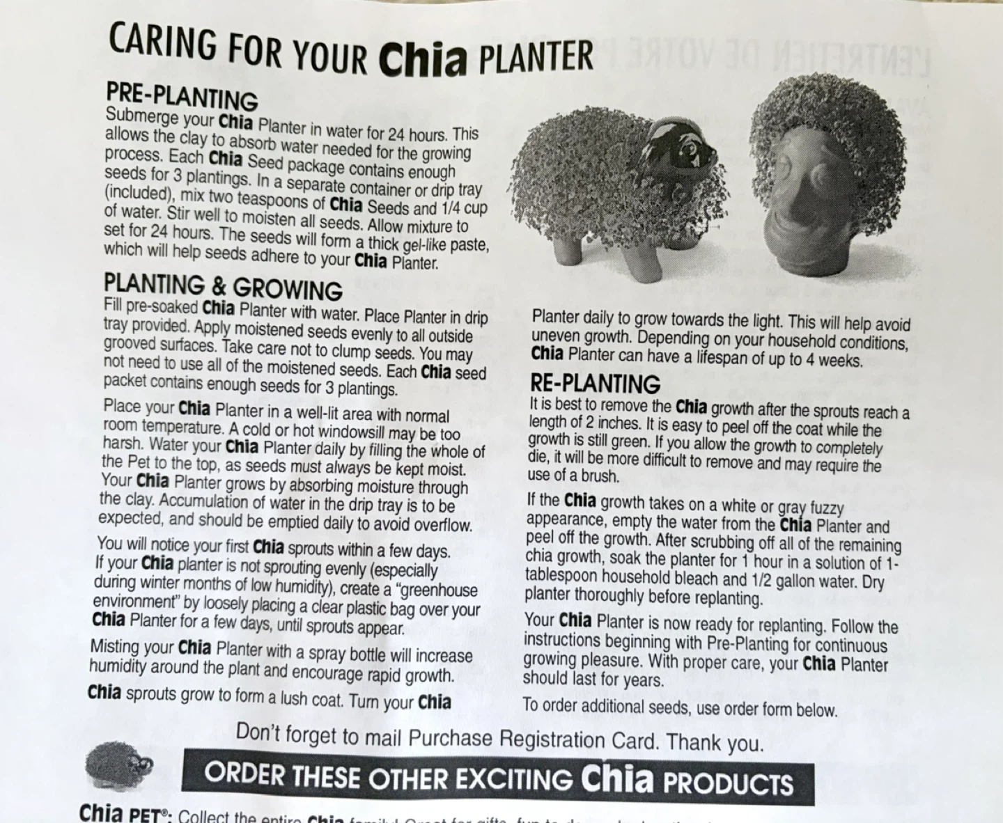 CHIA PET PUPPY, NEW IN BOX - photo 3