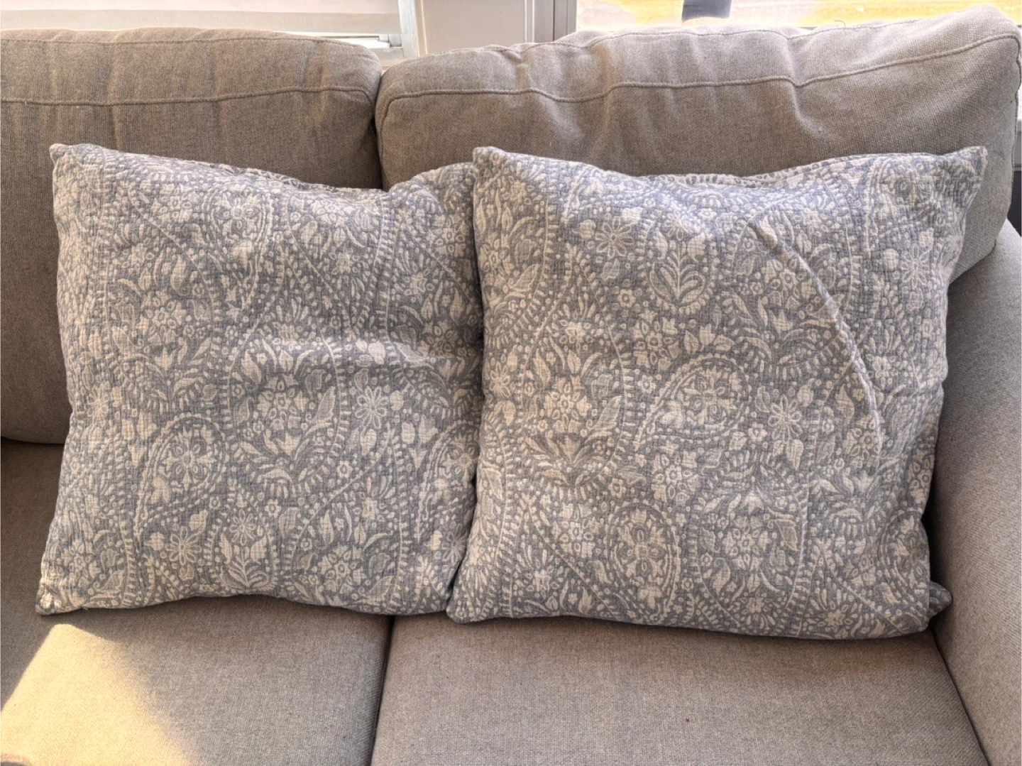Set of 2 Decorative Throw Pillows