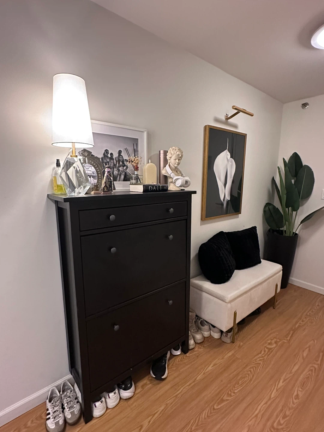 Black Shoe Cabinet with Storage Drawers
