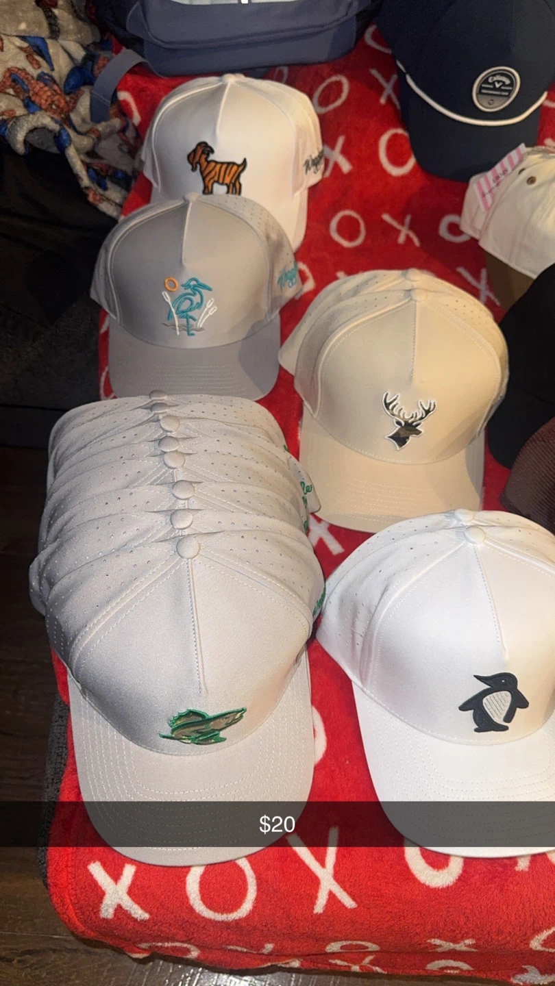 Assorted Embroidered Baseball Caps