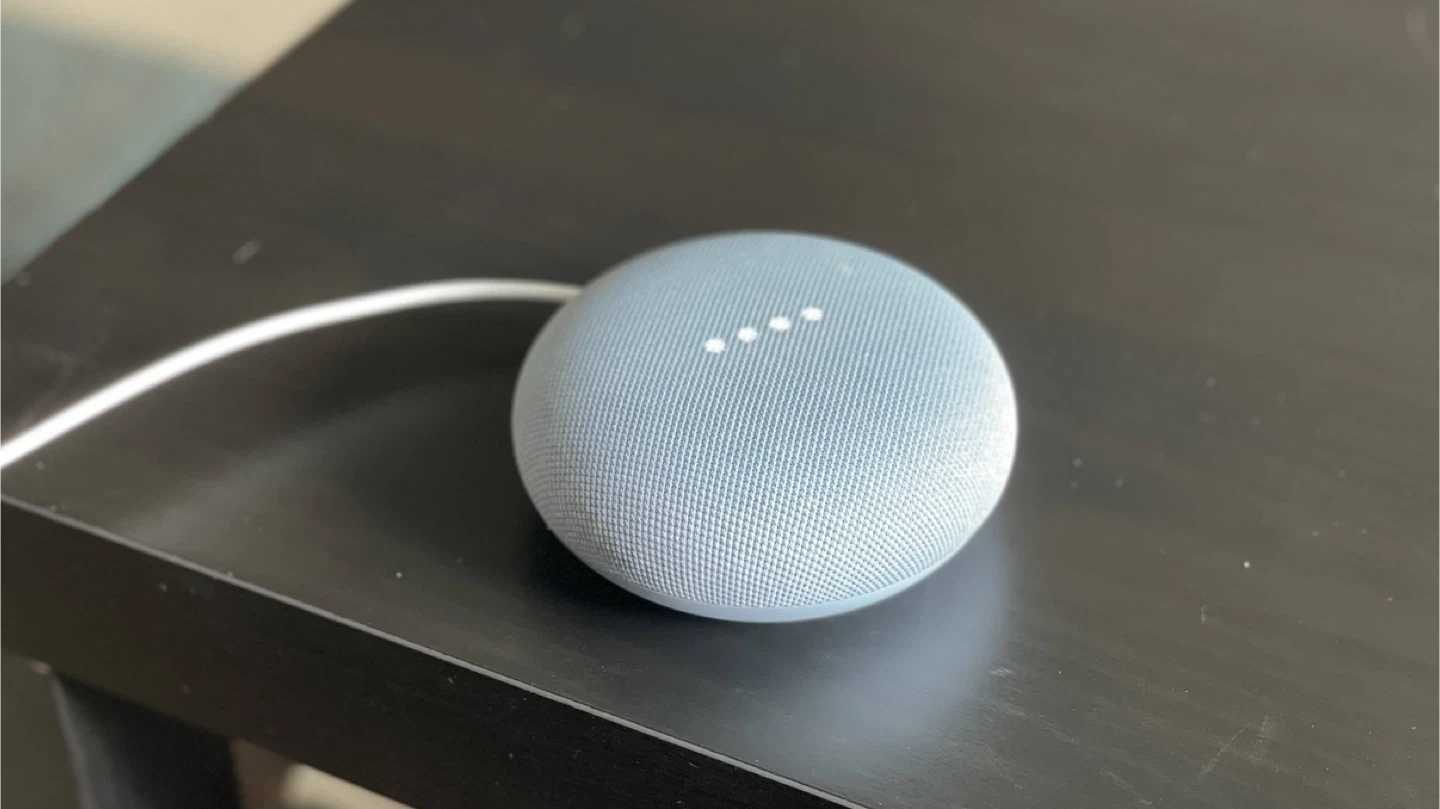 Google Nest Mini Smart Speaker