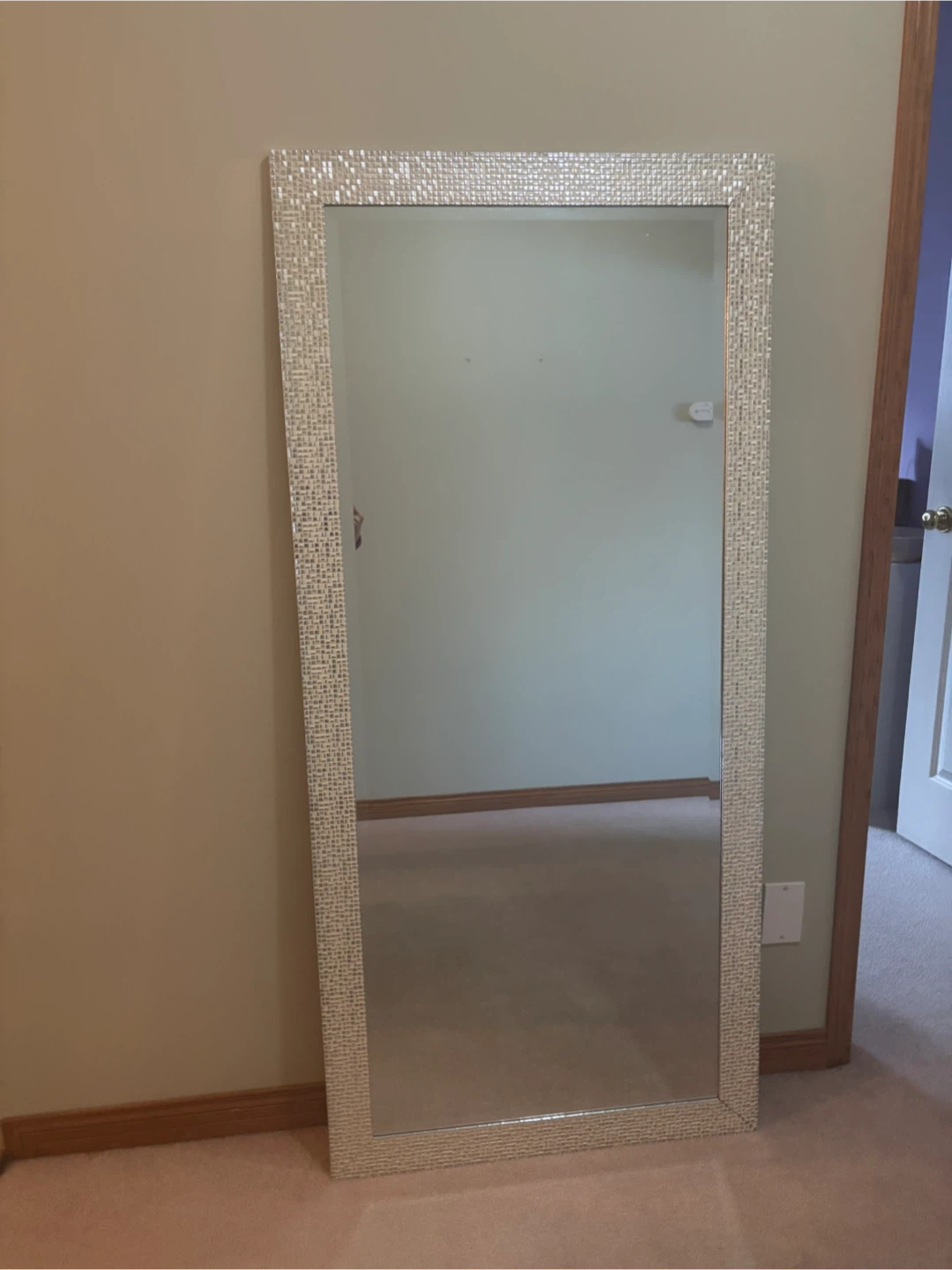 Decorative Full-Length Mirror with Mosaic Frame