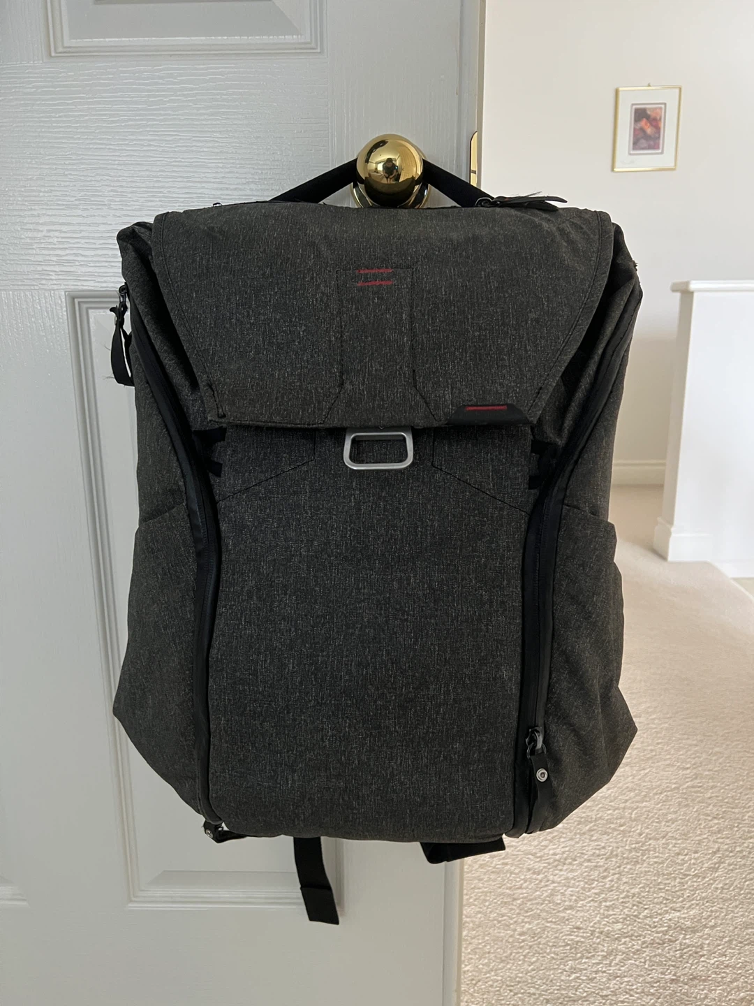 Peak Design Everyday Backpack