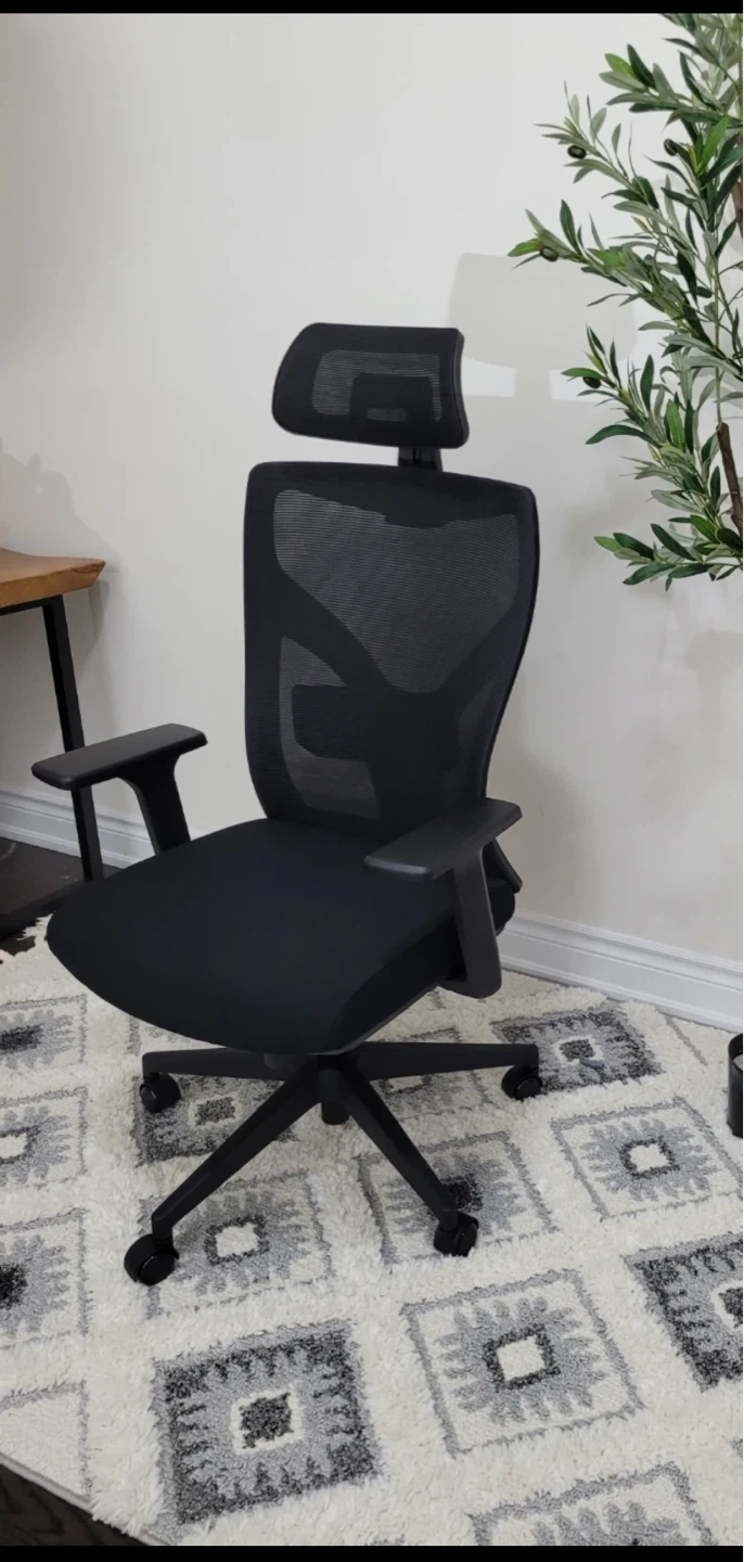 Black Ergonomic Mesh Office Chair with Headrest