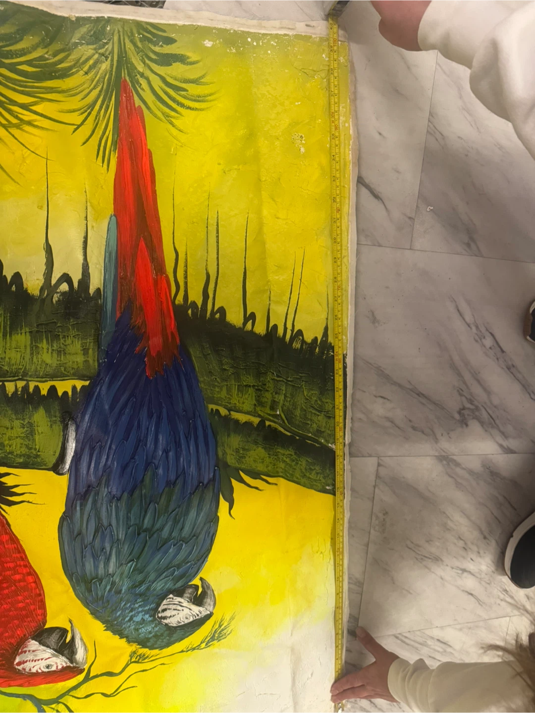 Large Macaw Parrot Painting