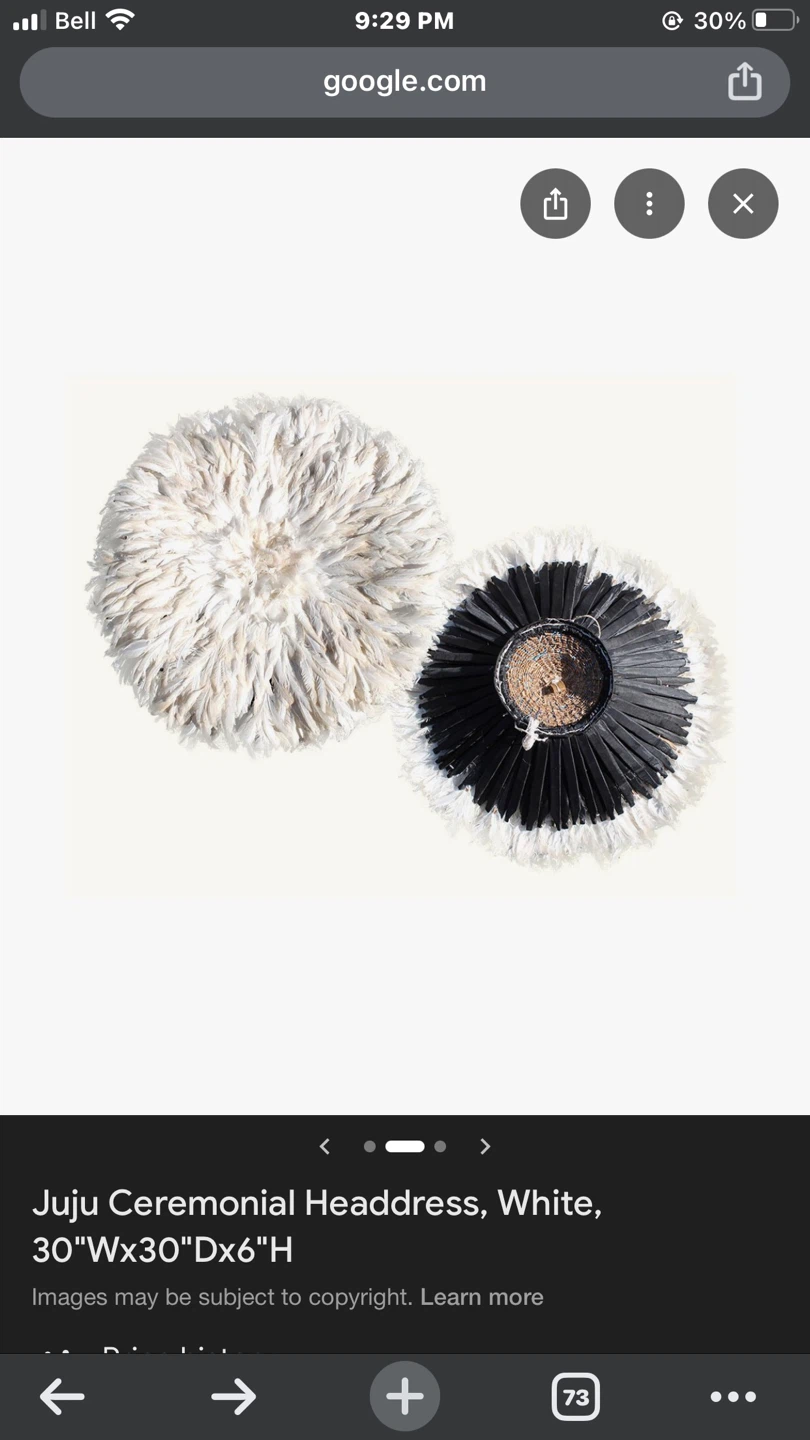 Juju Ceremonial Headdress - White Feather Wall Decor