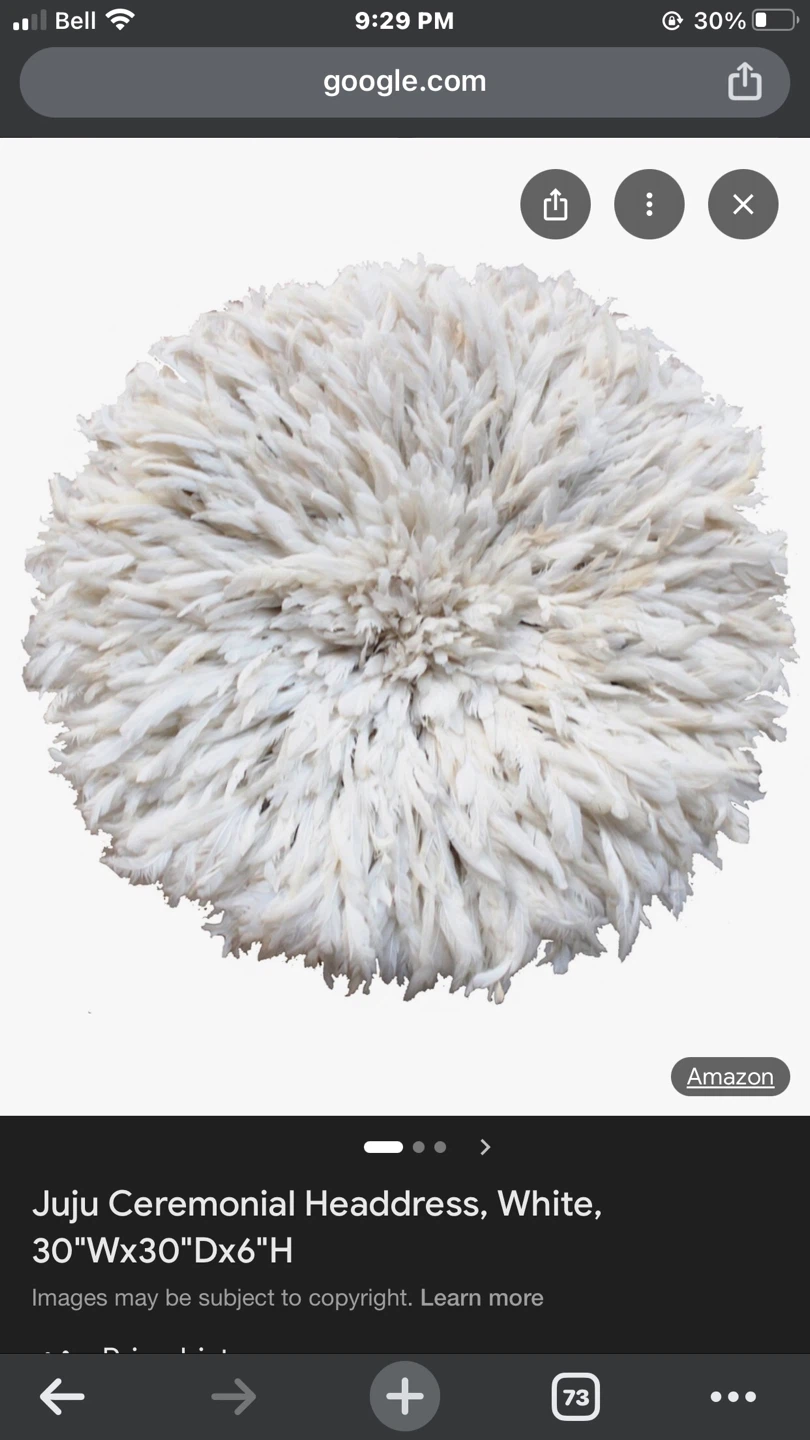Juju Ceremonial Headdress - White Feather Wall Decor - photo 2