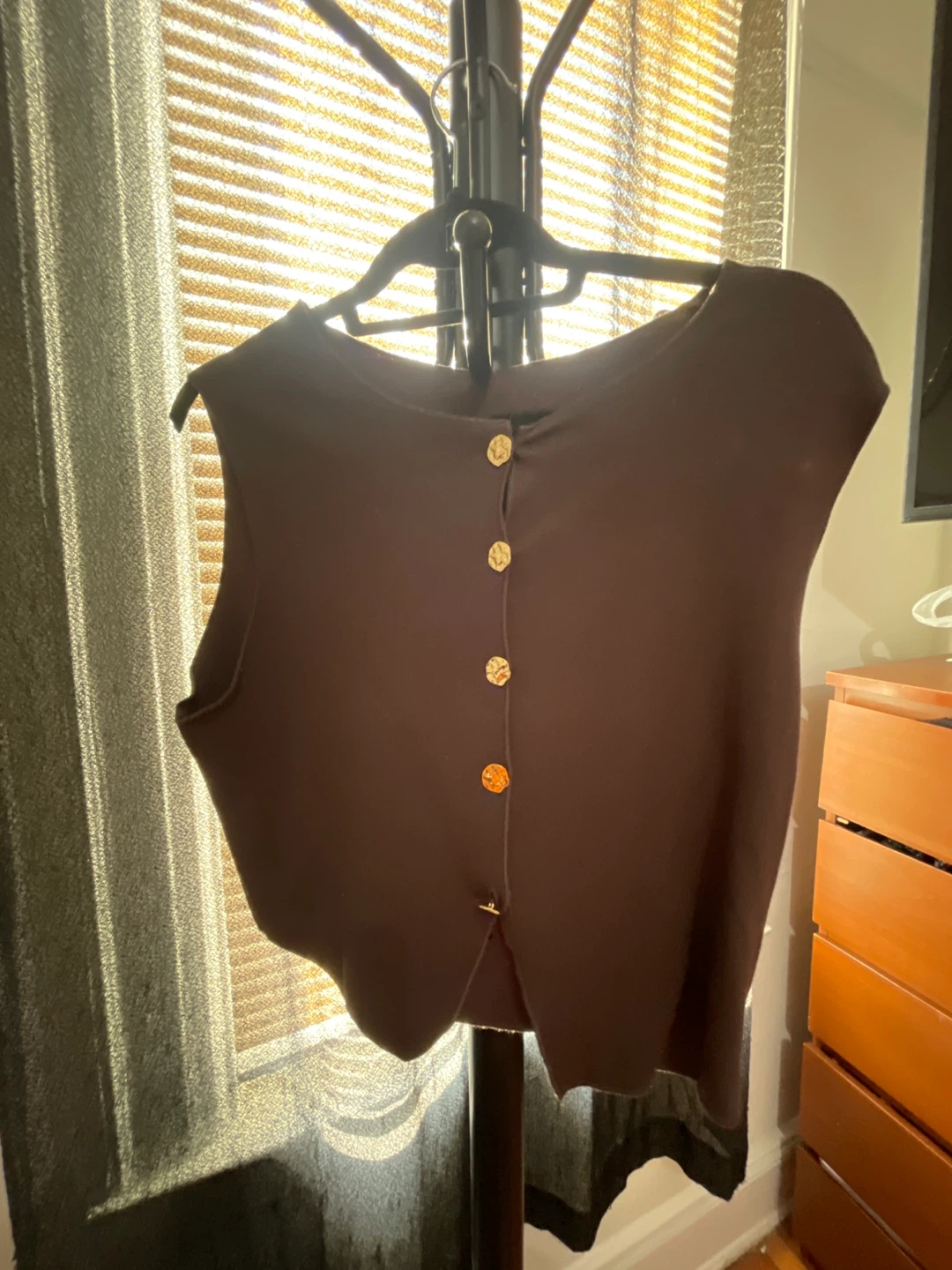 Brown Sleeveless Button-Up Vest