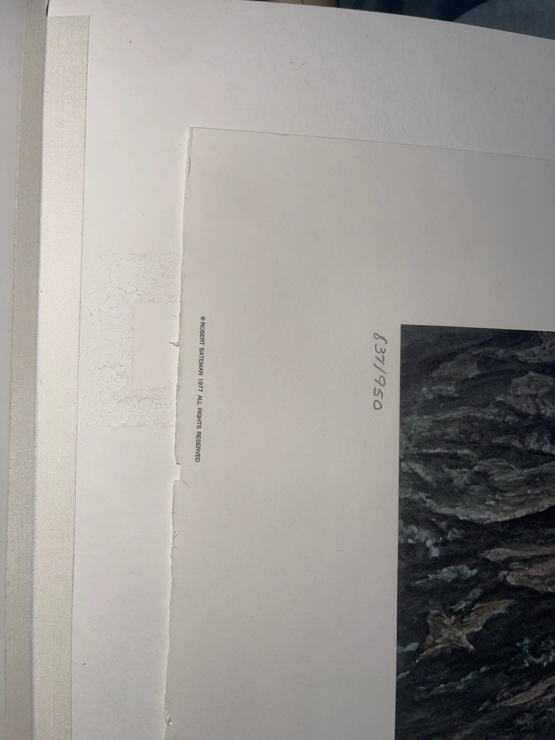 Robert Bateman "Lion Cubs" Limited Edition Print 837/950 - photo 4