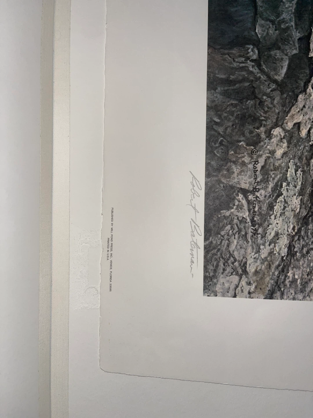 Robert Bateman "Lion Cubs" Limited Edition Print 837/950 - photo 3