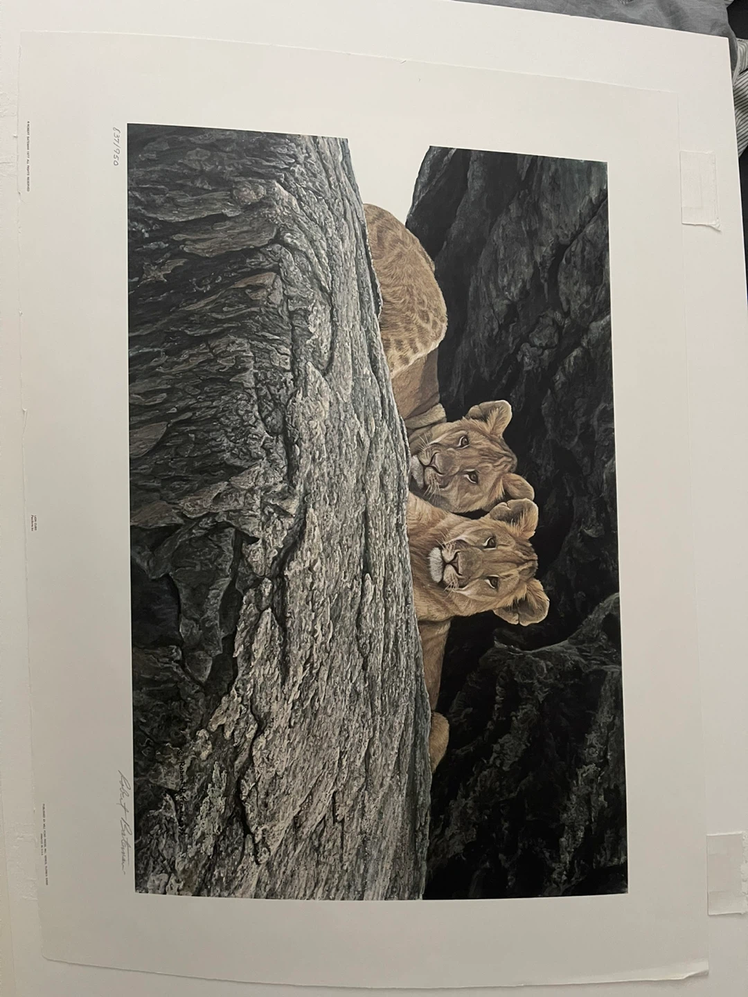 Robert Bateman "Lion Cubs" Limited Edition Print 837/950 - photo 2