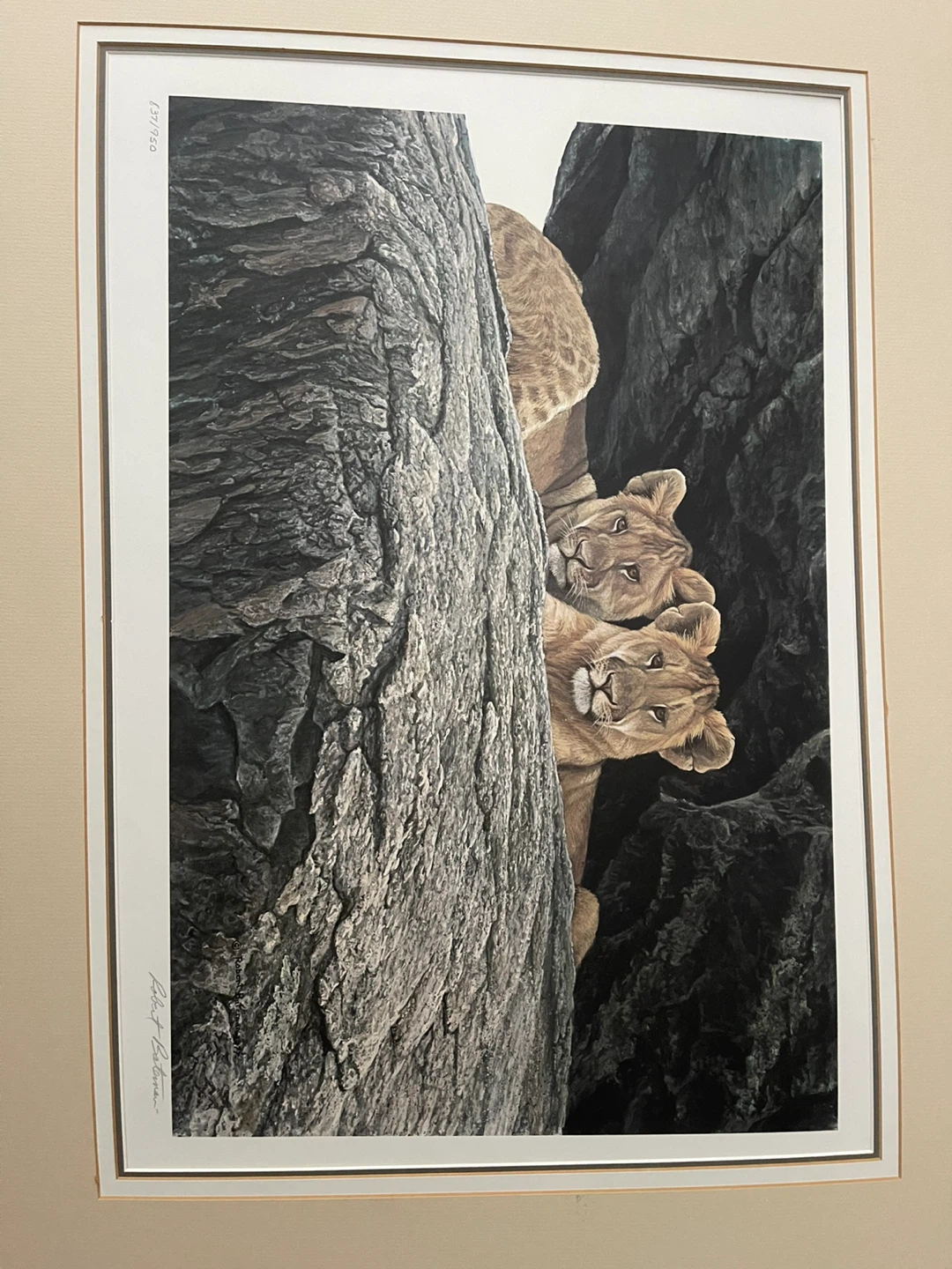 Robert Bateman "Lion Cubs" Limited Edition Print 837/950