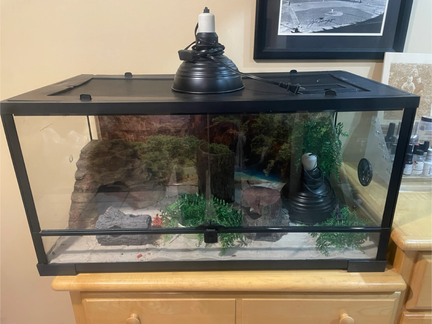 Reptile Terrarium with Heat Lamp Fixtures