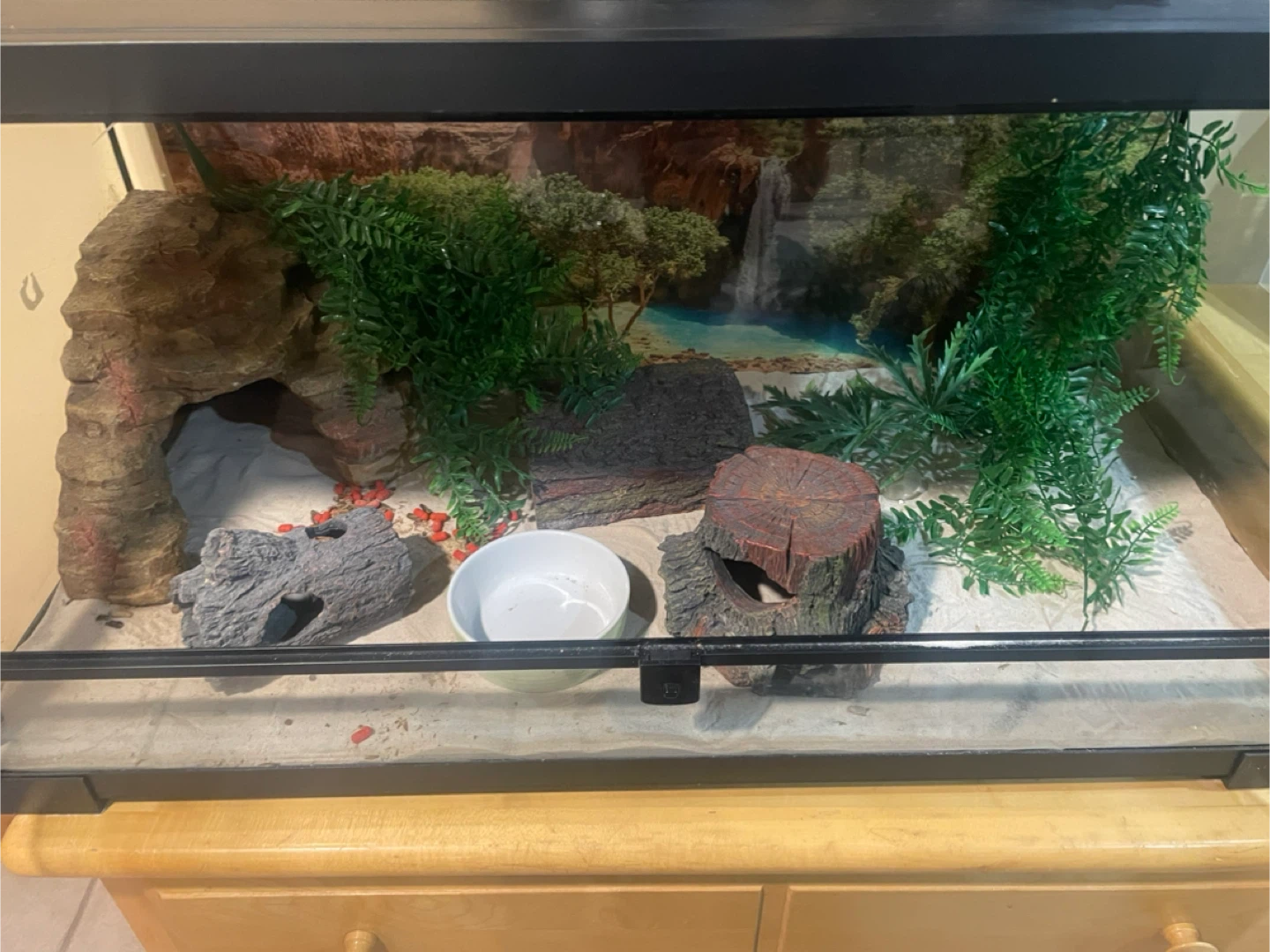 Reptile Terrarium with Heat Lamp Fixtures - photo 2