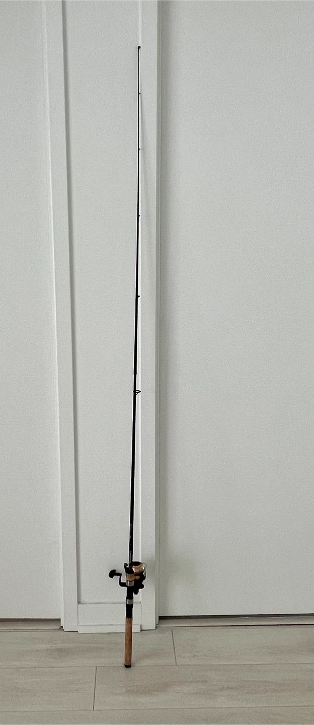 (Retail $62)Daiwa Spinning Fishing Rod and Reel Combo - photo 4