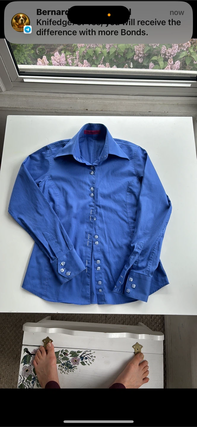 Rosalia Nigrette Blue Button-Up Shirt - Size 2 - photo 3