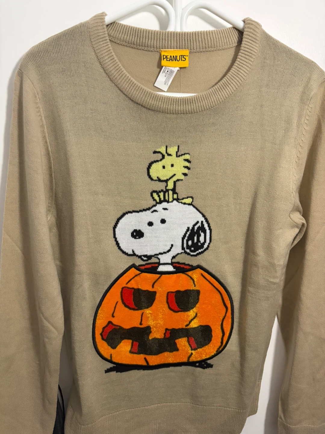 Peanuts Snoopy & Woodstock Pumpkin Sweater XS/TP