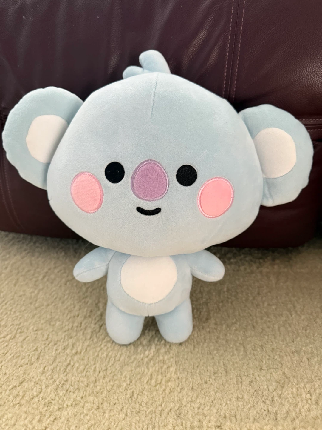 BT21 RJ Plush Toy