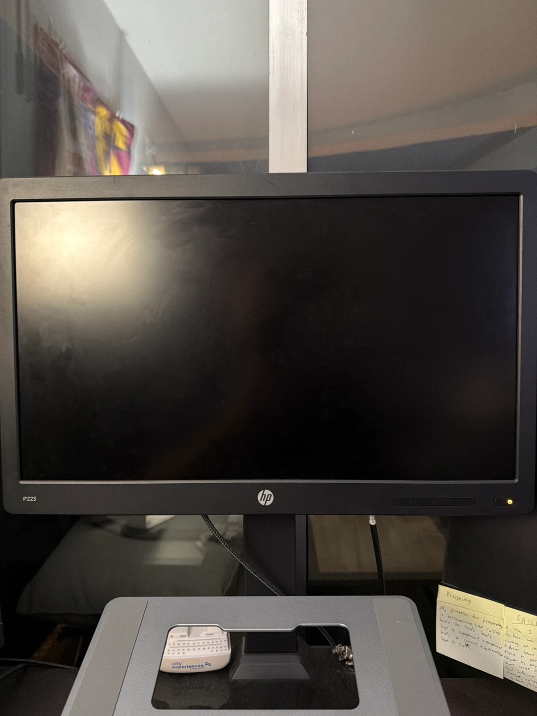 HP P233 23" LED Monitor