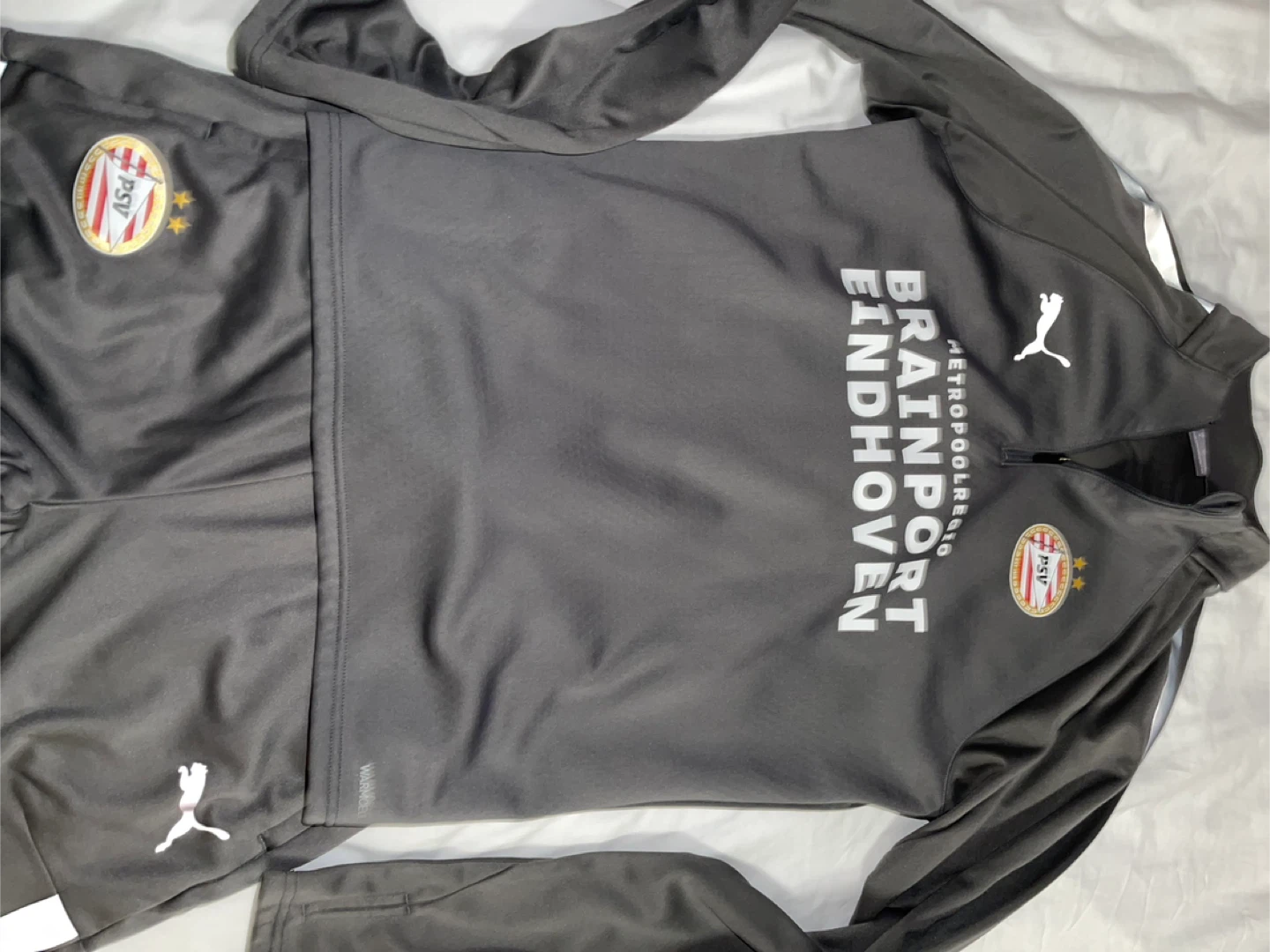 Puma PSV Eindhoven Track Pants Grey Size Medium