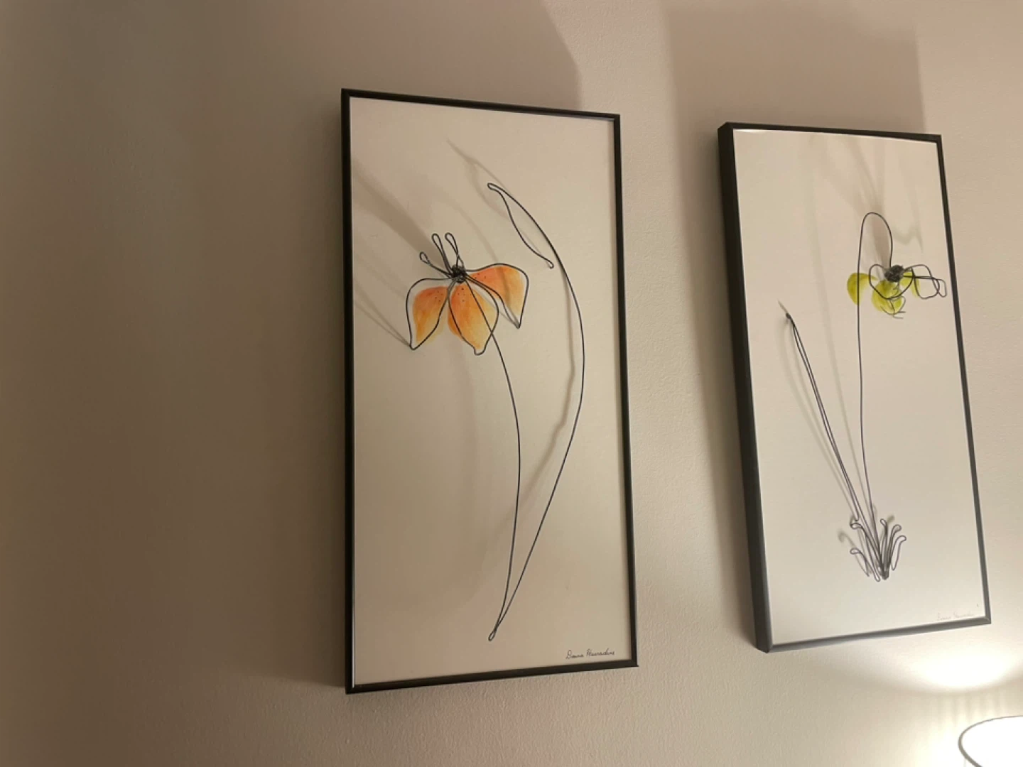 Set of 2 Framed Botanical Art Prints
