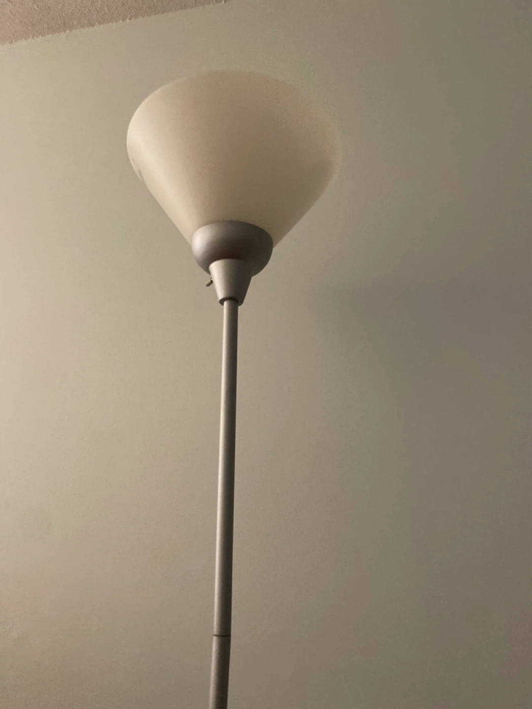 Floor Lamp with Frosted Shade