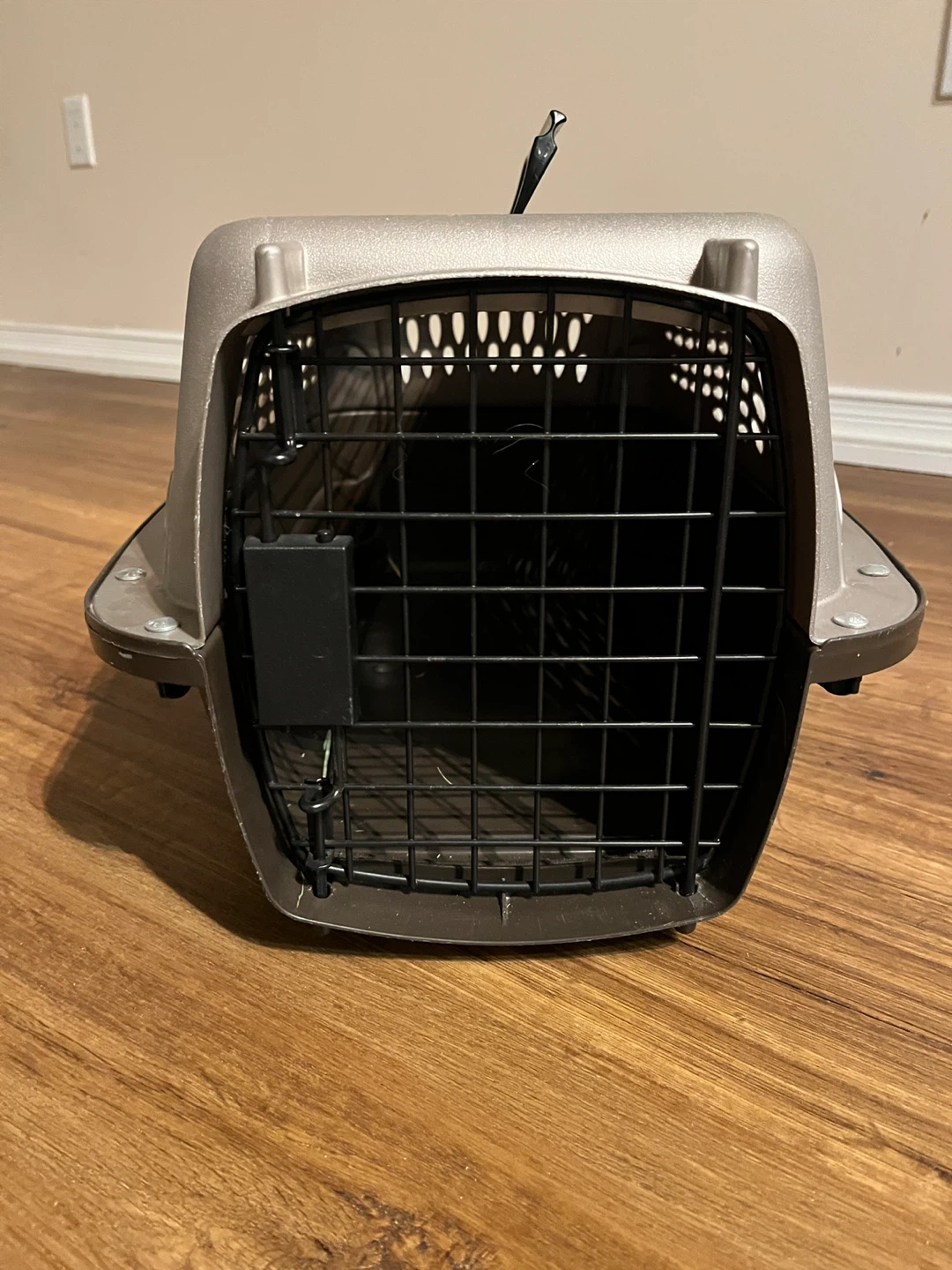 FREE Pet Carrier - photo 2
