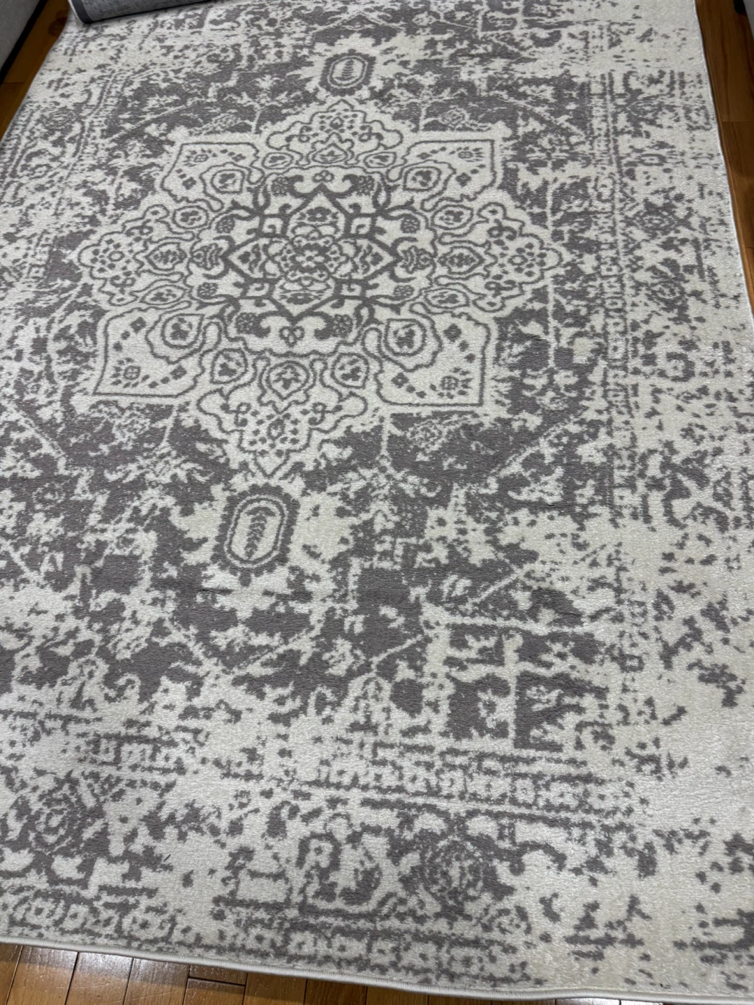 Rugs.com Arlington Collection 6' x 9' Medium Pile Rug