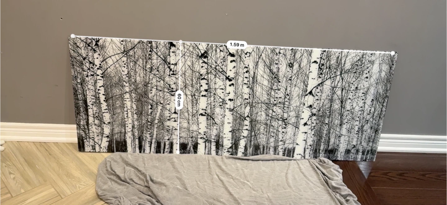 Birch Tree Wall Art Canvas (Glass with mounting accessories) - photo 2