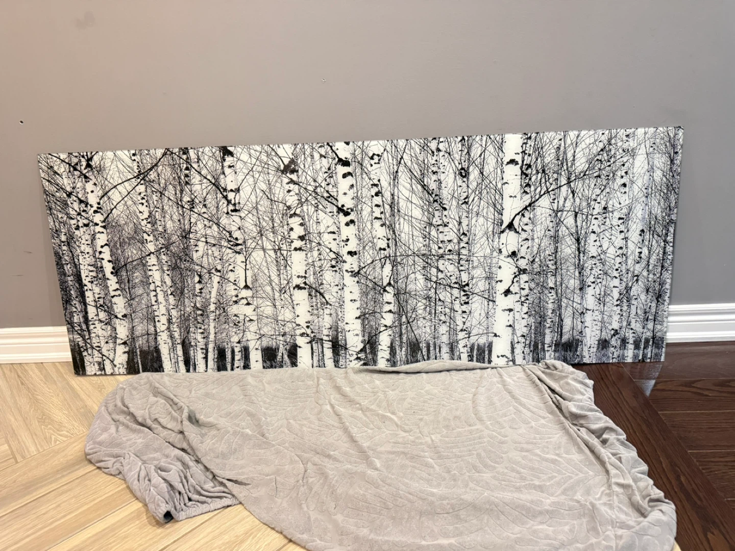 Birch Tree Wall Art Canvas (Glass with mounting accessories)