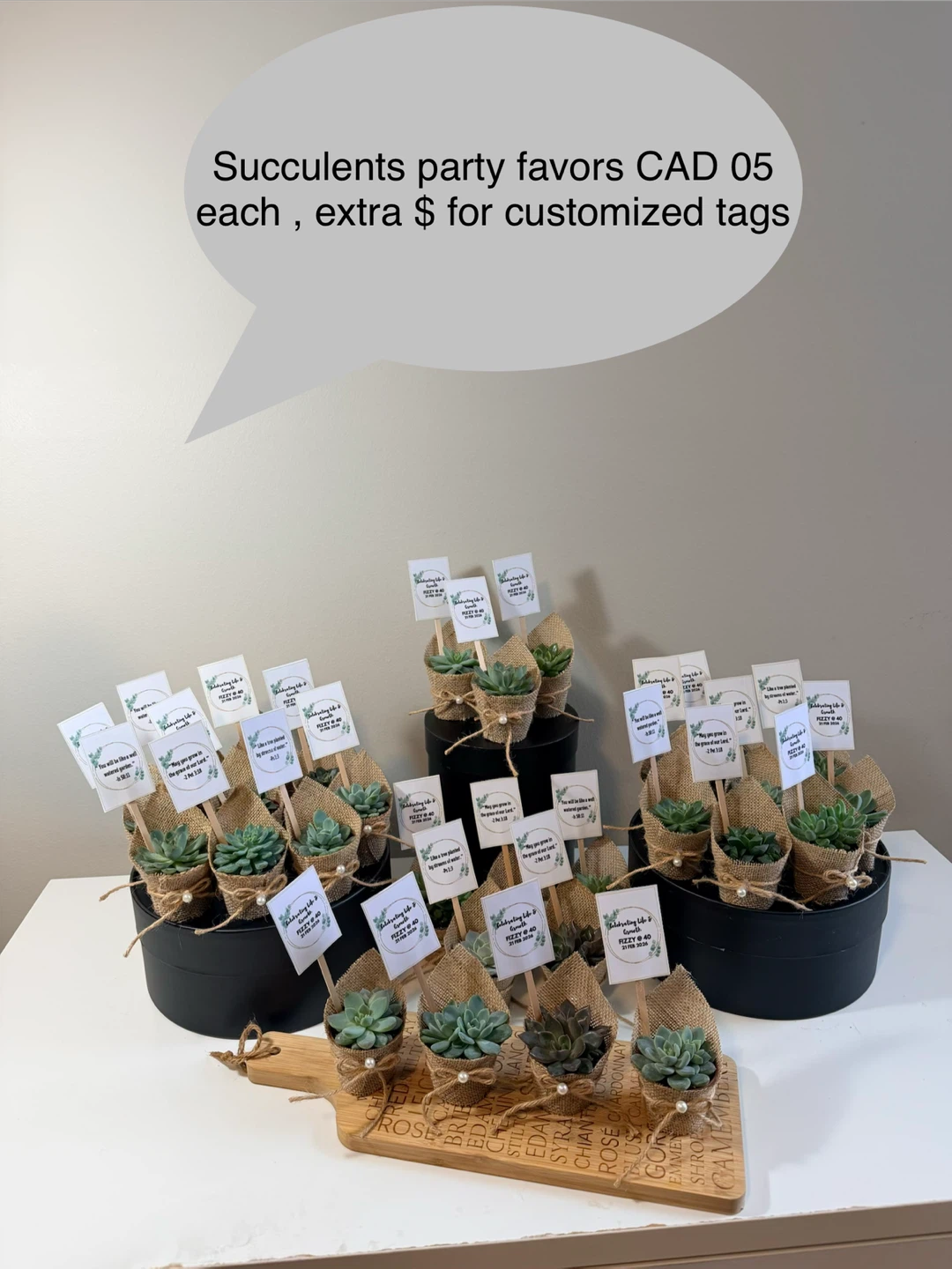 Indoor plants - photo 2