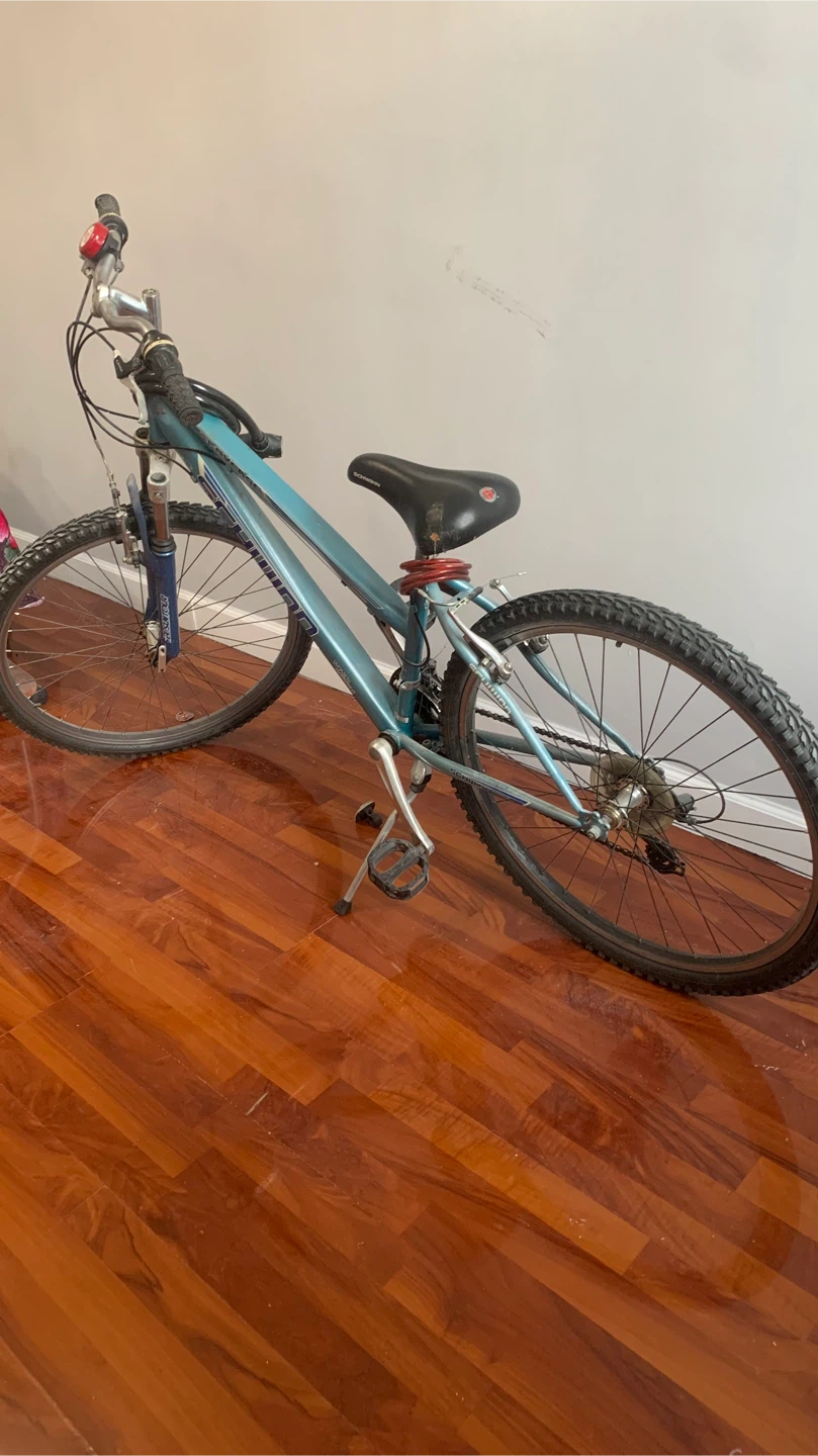 Schwinn Mountain Bike - photo 2