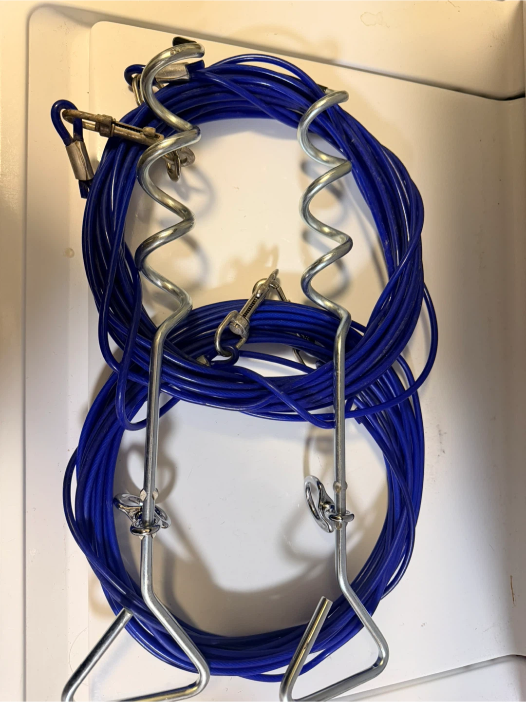 Blue Dog Tie Out Cable with Stakes