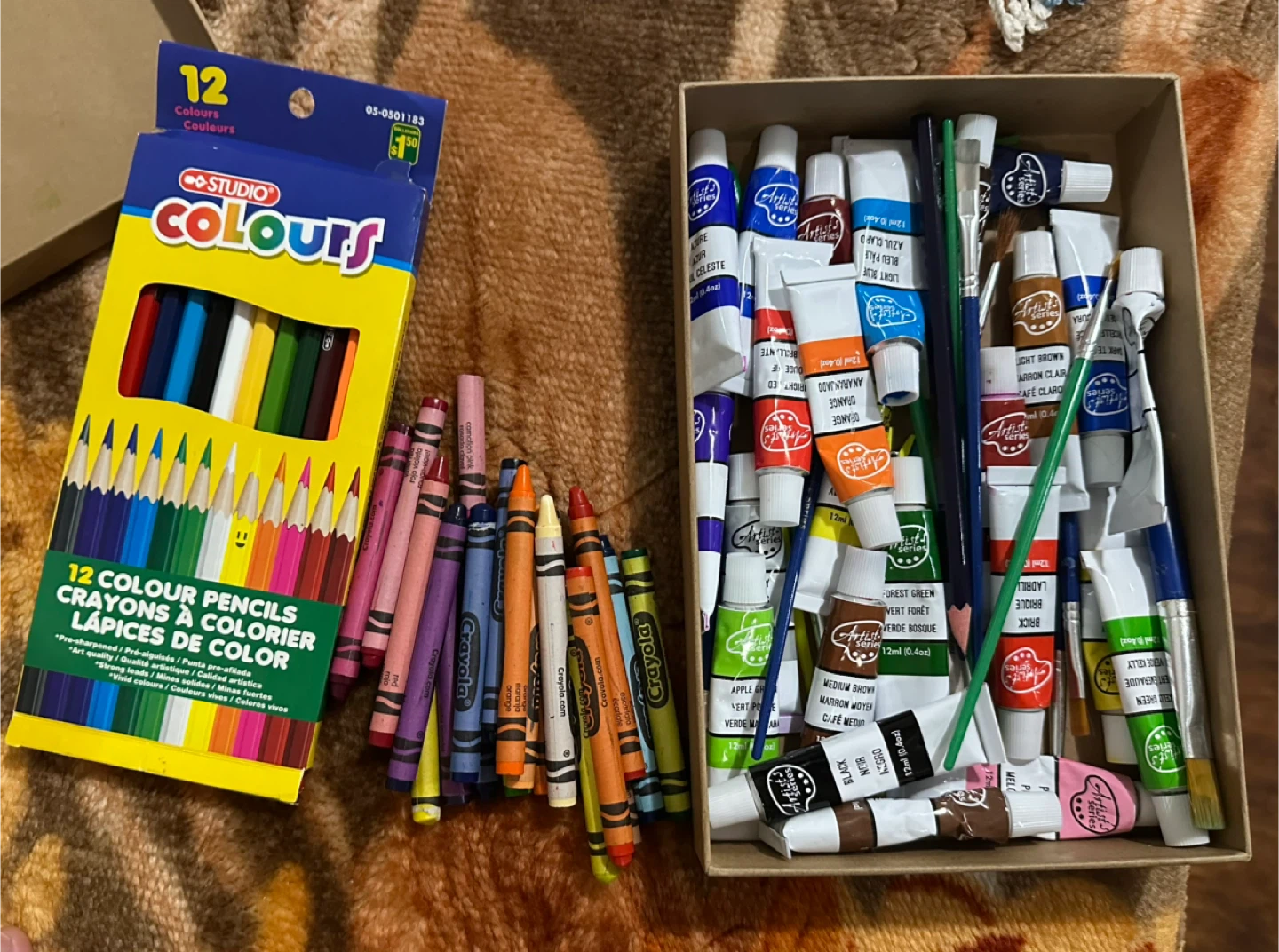 Studio Colours 12 Colour Pencils & Artist Series Paint Tubes