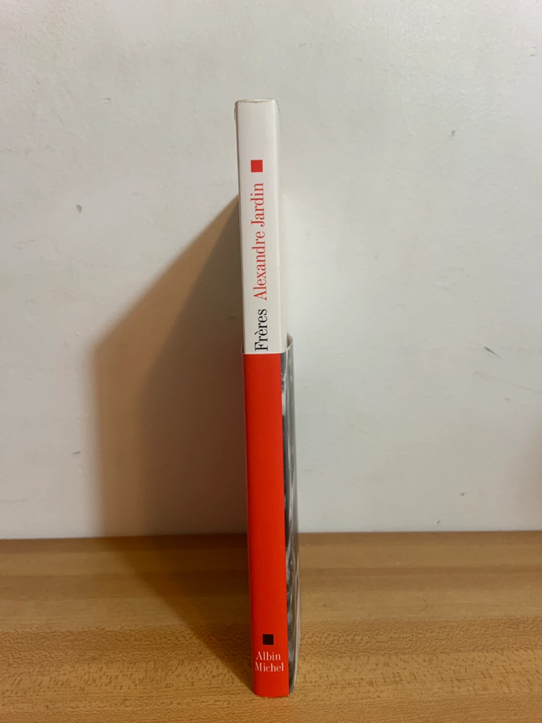 Frères – Alexandre Jardin – Like New Copy - photo 3