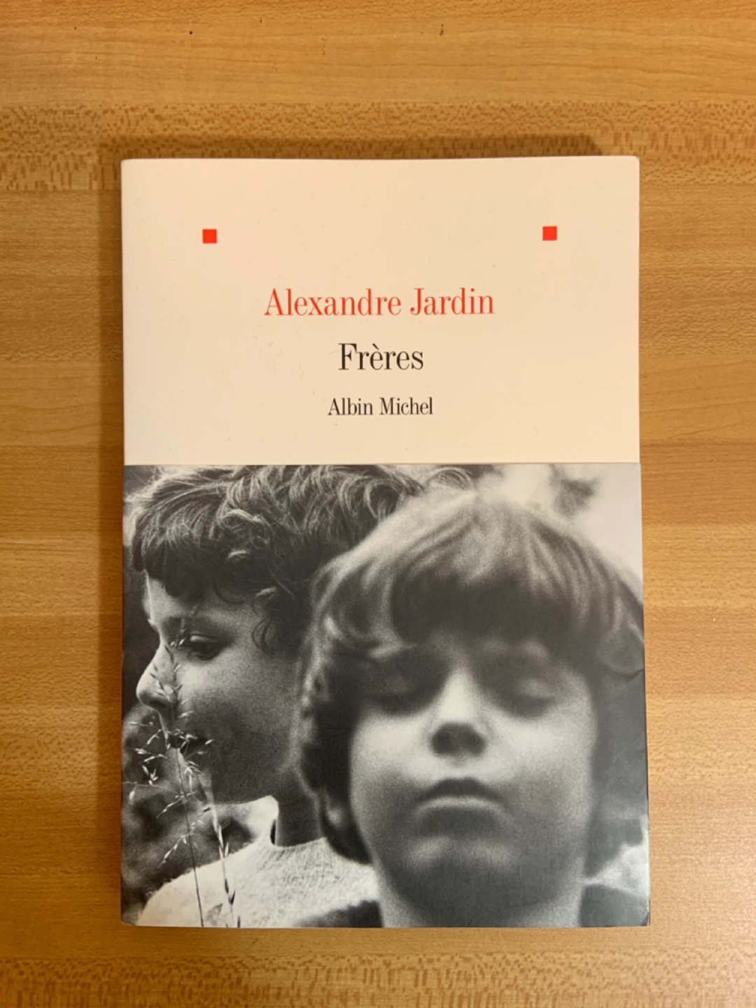 Frères – Alexandre Jardin – Like New Copy