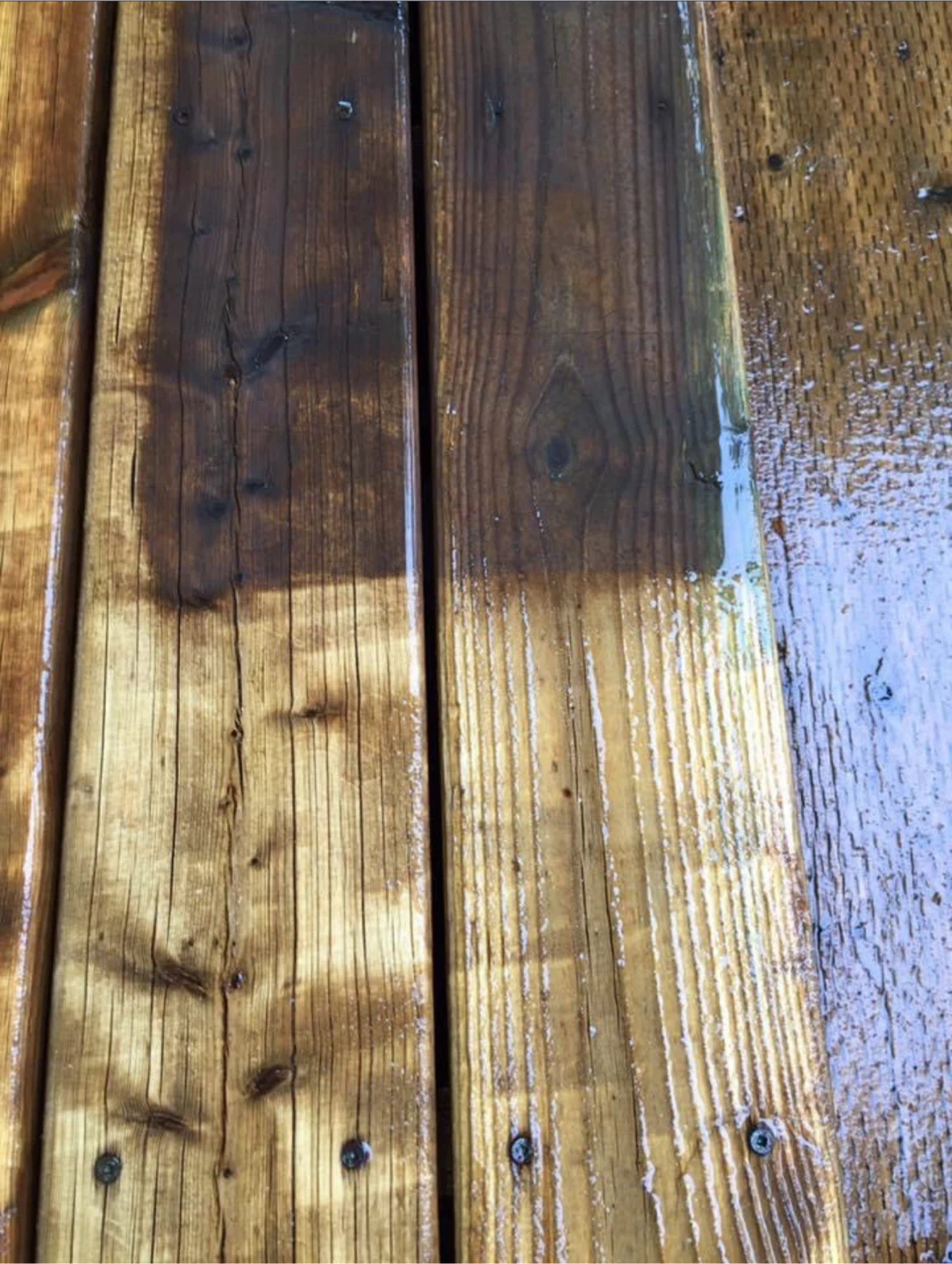 Professional Painting Service - photo 3