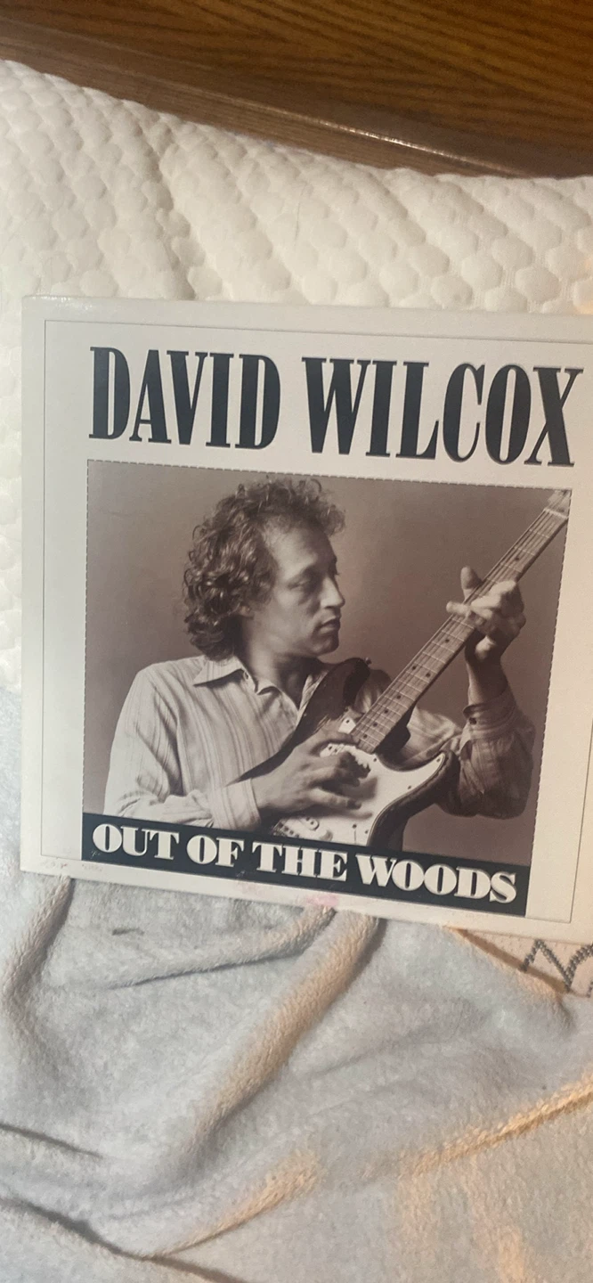 David Wilcox Out of the Woods Vinyl Record