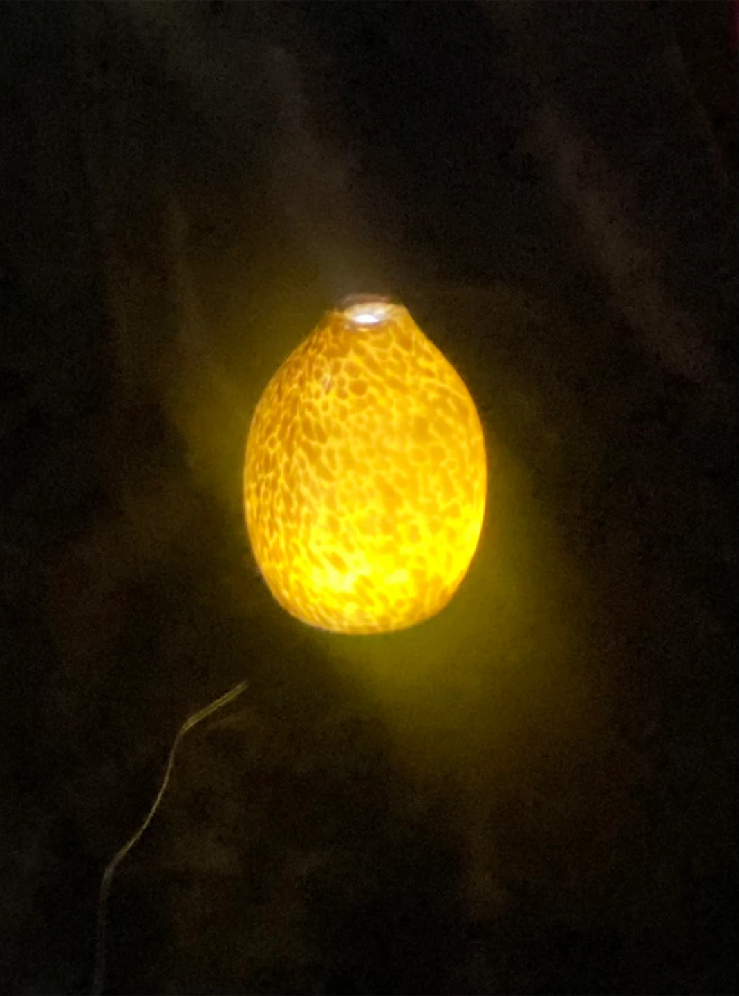 Glass Diffuser - photo 4
