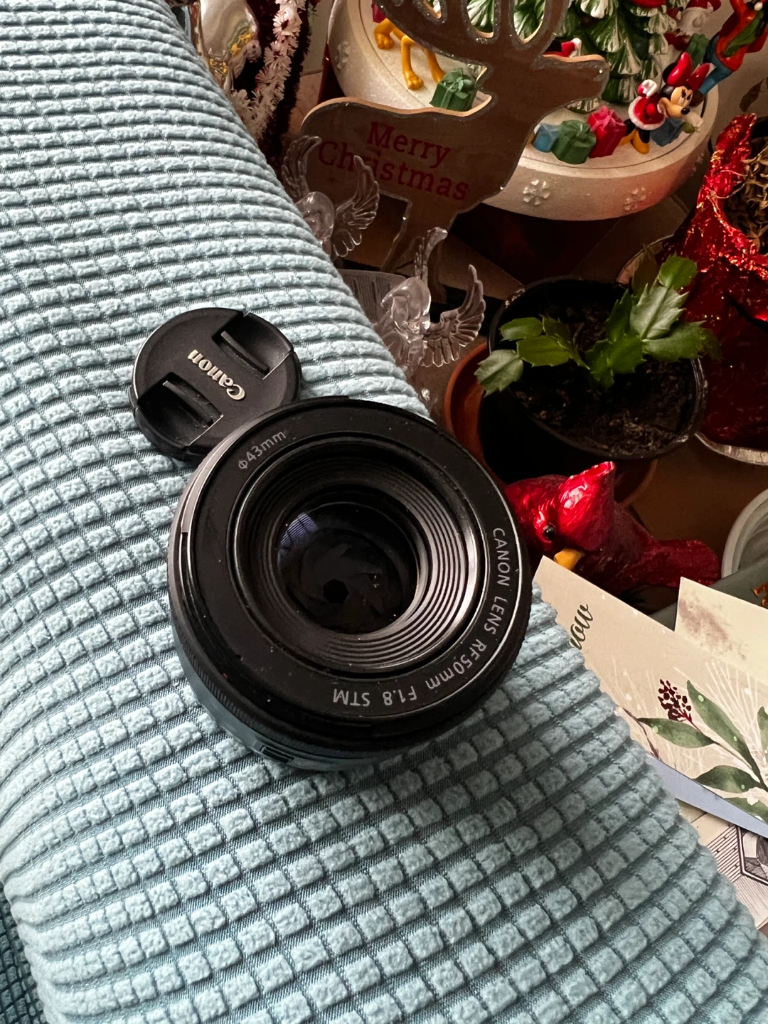 Canon RF 50mm F1.8 STM Lens