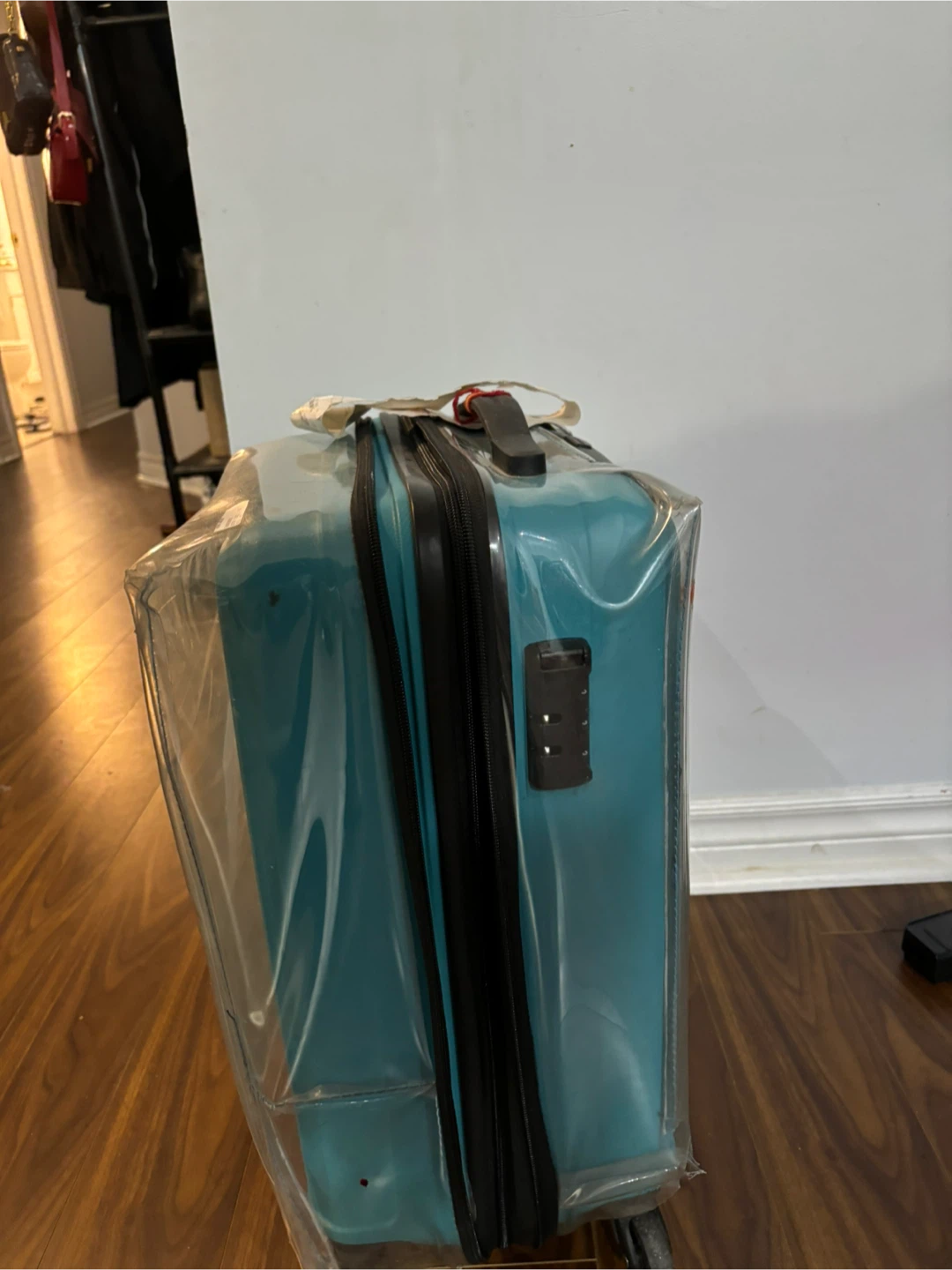Teal cabin Suitcase